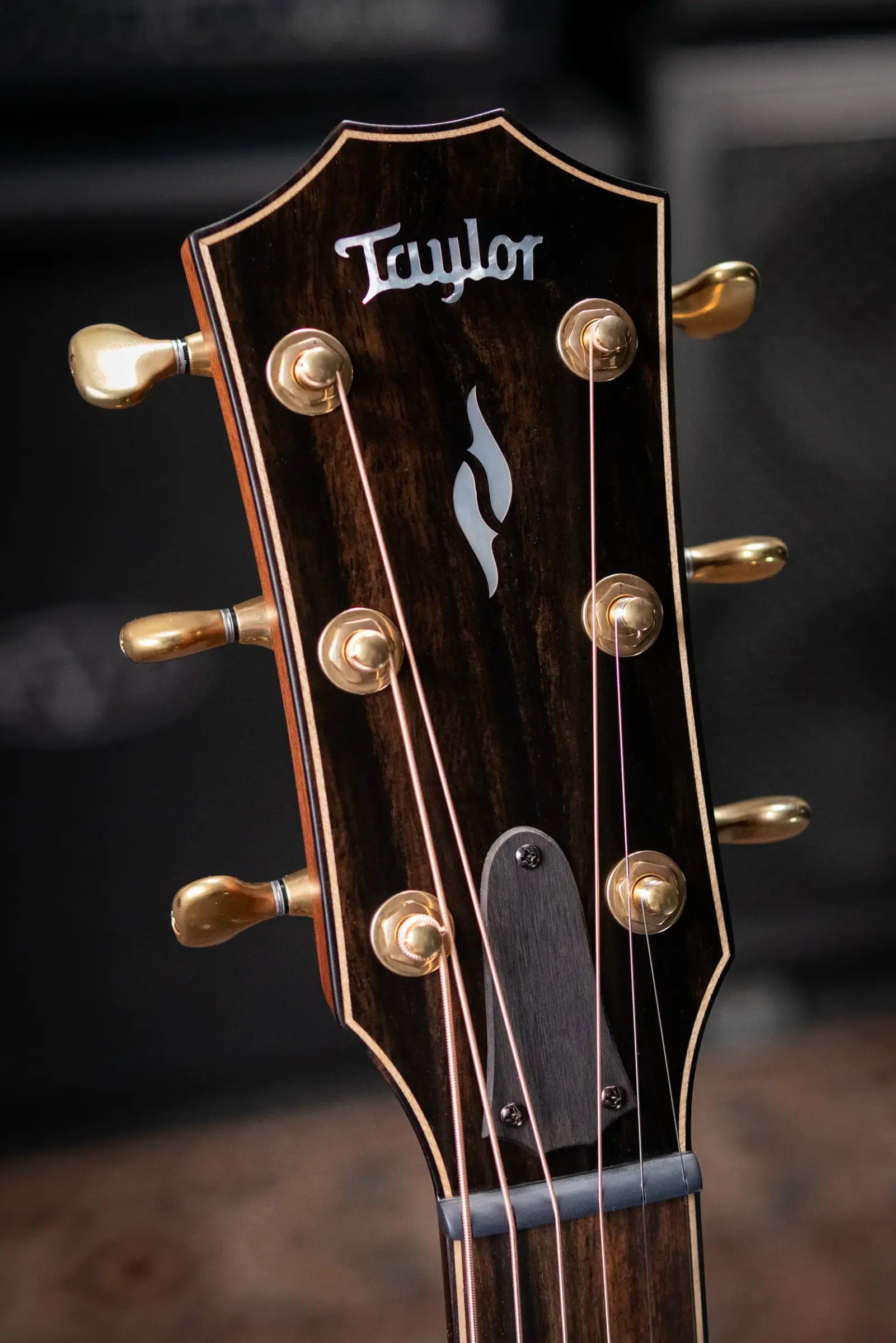 Taylor Next Generation Builder's Edition 814ce Grand Auditorium Acoustic/Electric Guitar - Adirondack/Honduran Rosewood with Hardshell Case
