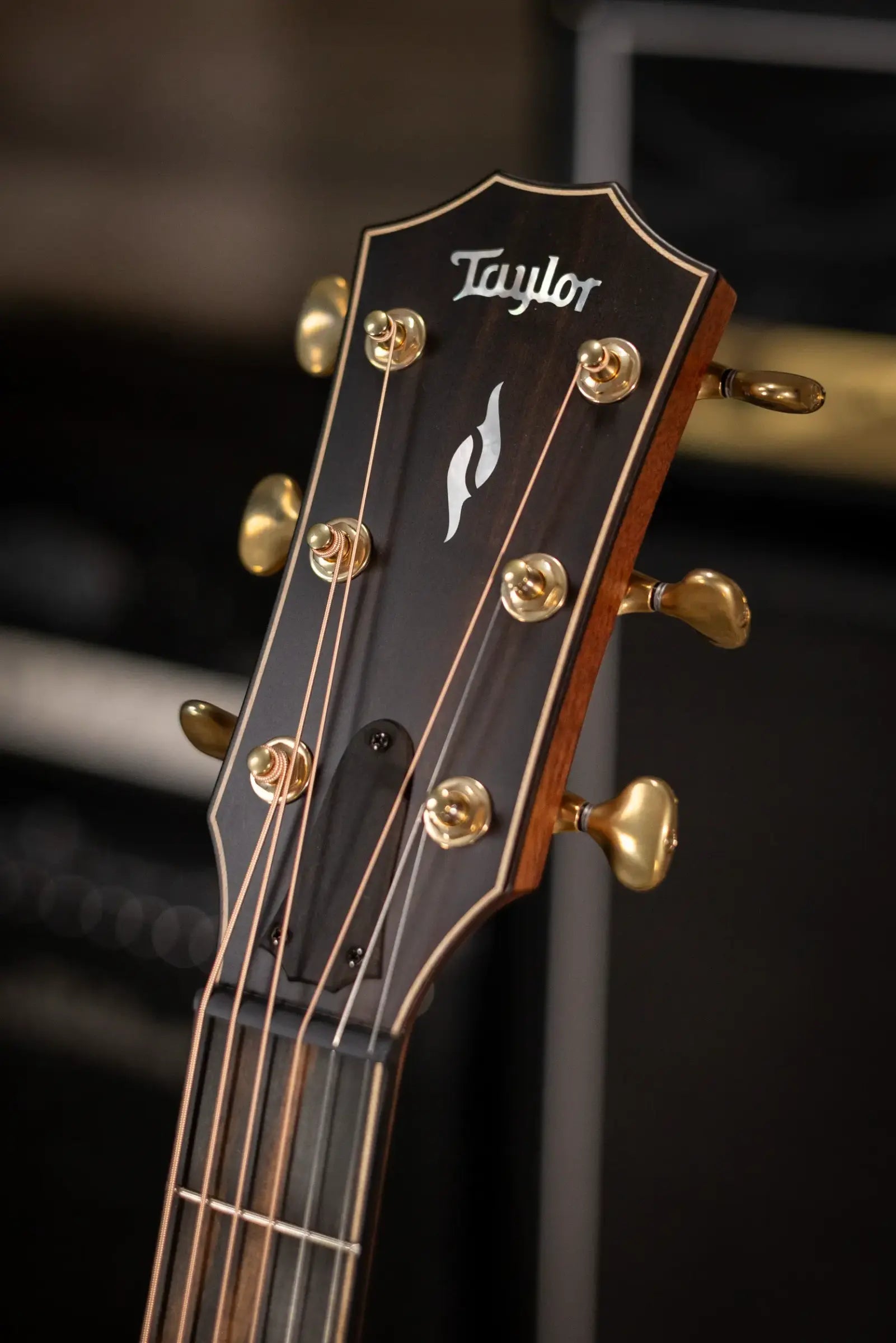Taylor Next Generation Builder's Edition 814ce Grand Auditorium Acoustic/Electric Guitar - Adirondack/Honduran Rosewood with Hardshell Case - Factory Demo