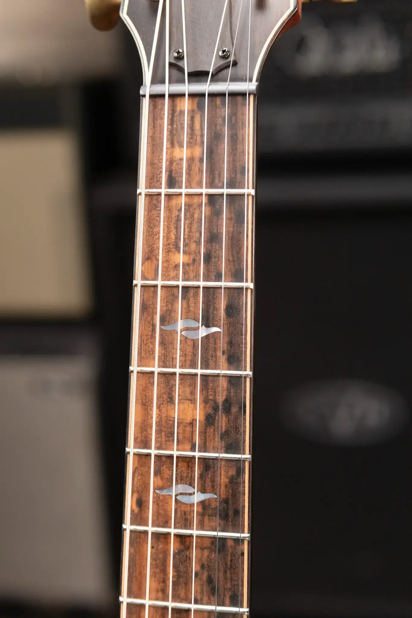 Taylor Next Generation Builder's Edition 814ce Grand Auditorium Acoustic/Electric Guitar with Hardshell Case