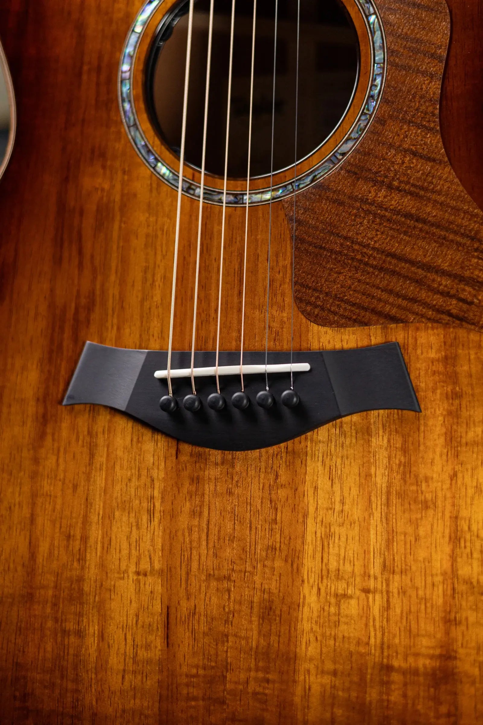 Taylor Next Generation K24ce Special Edition Grand Auditorium Acoustic/Electric Guitar with Hardshell Case