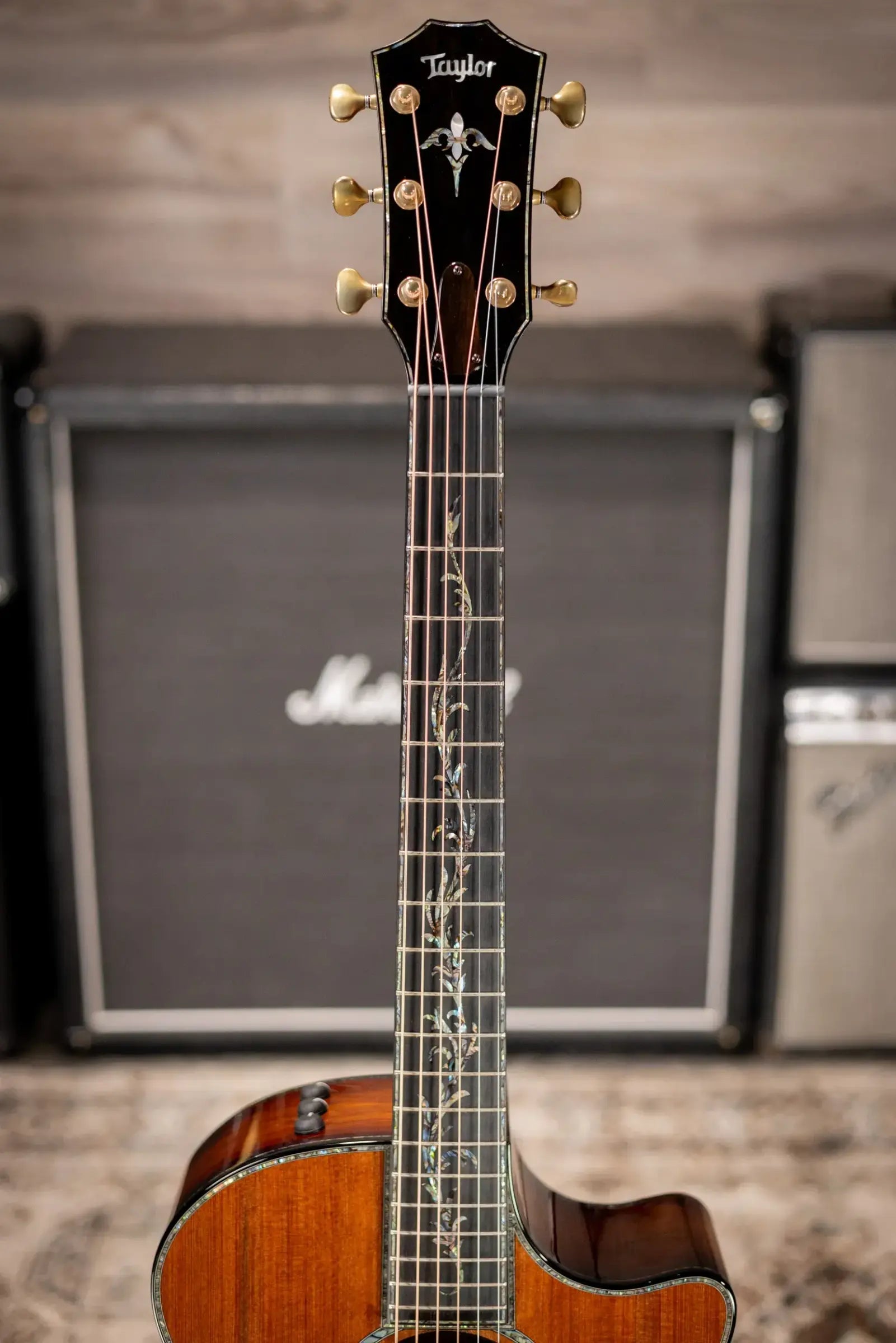 Taylor PS14ce Honduran Rosewood/Sinker Redwood Acoustic/Electric with Deluxe with Hardshell Case