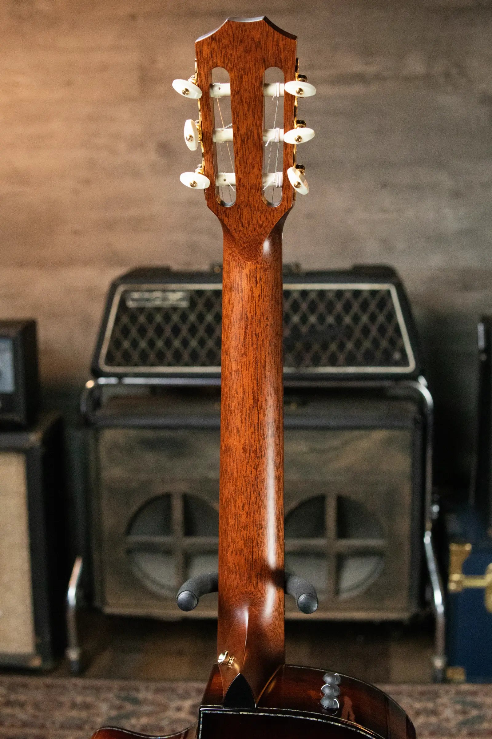 Taylor PS14ce-N Presentation Series Nylon Grand Auditorium Acoustic/Electric with Hardshell Case