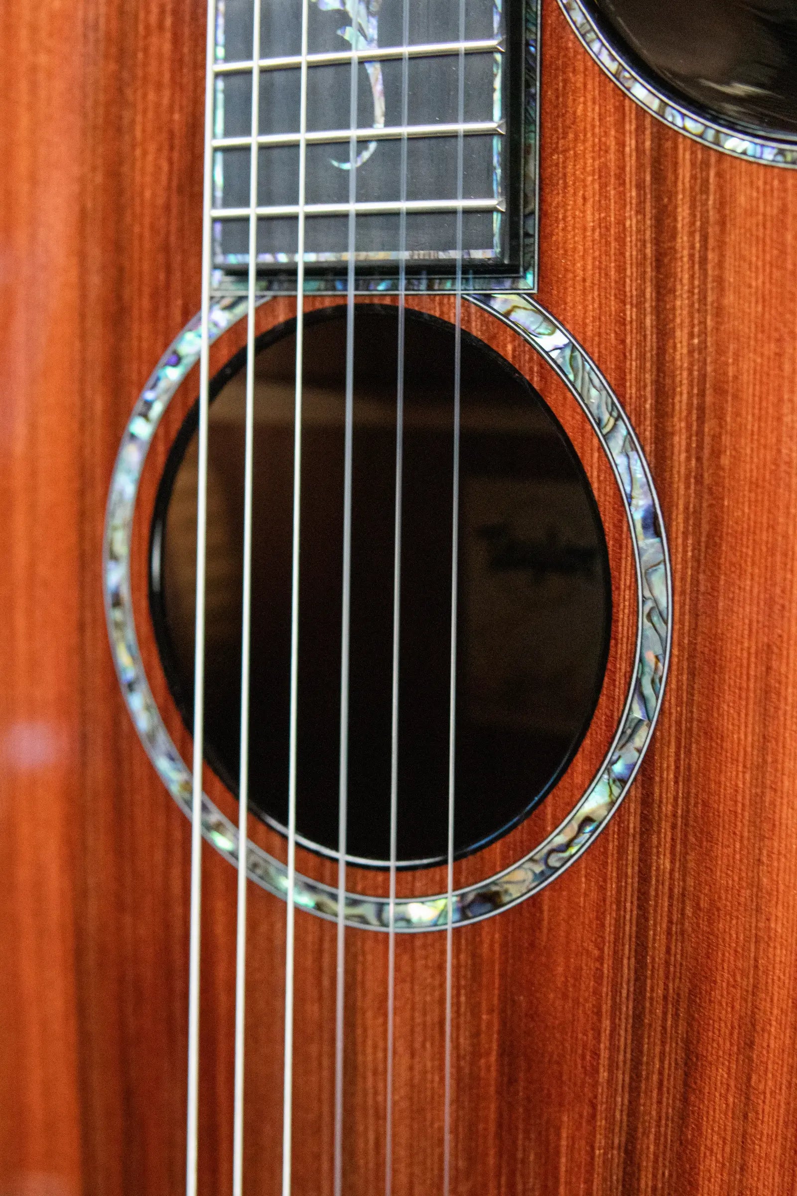 Taylor PS14ce-N Presentation Series Nylon Grand Auditorium Acoustic/Electric with Hardshell Case