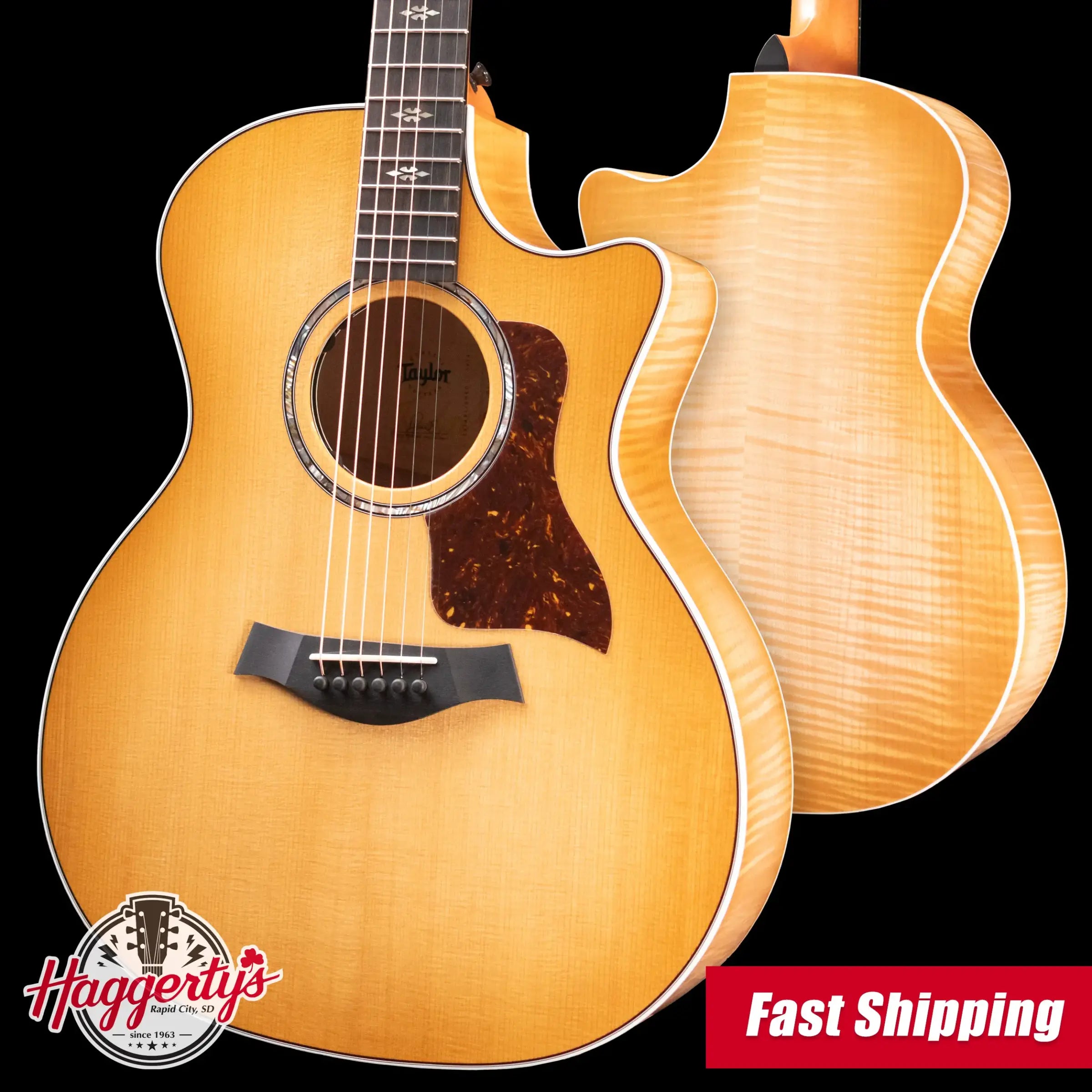 Taylor Prototype 614ce Grand Auditorium Acoustic/Electric Guitar - Maple/Torrified Sitka Spruce with Hardshell Case