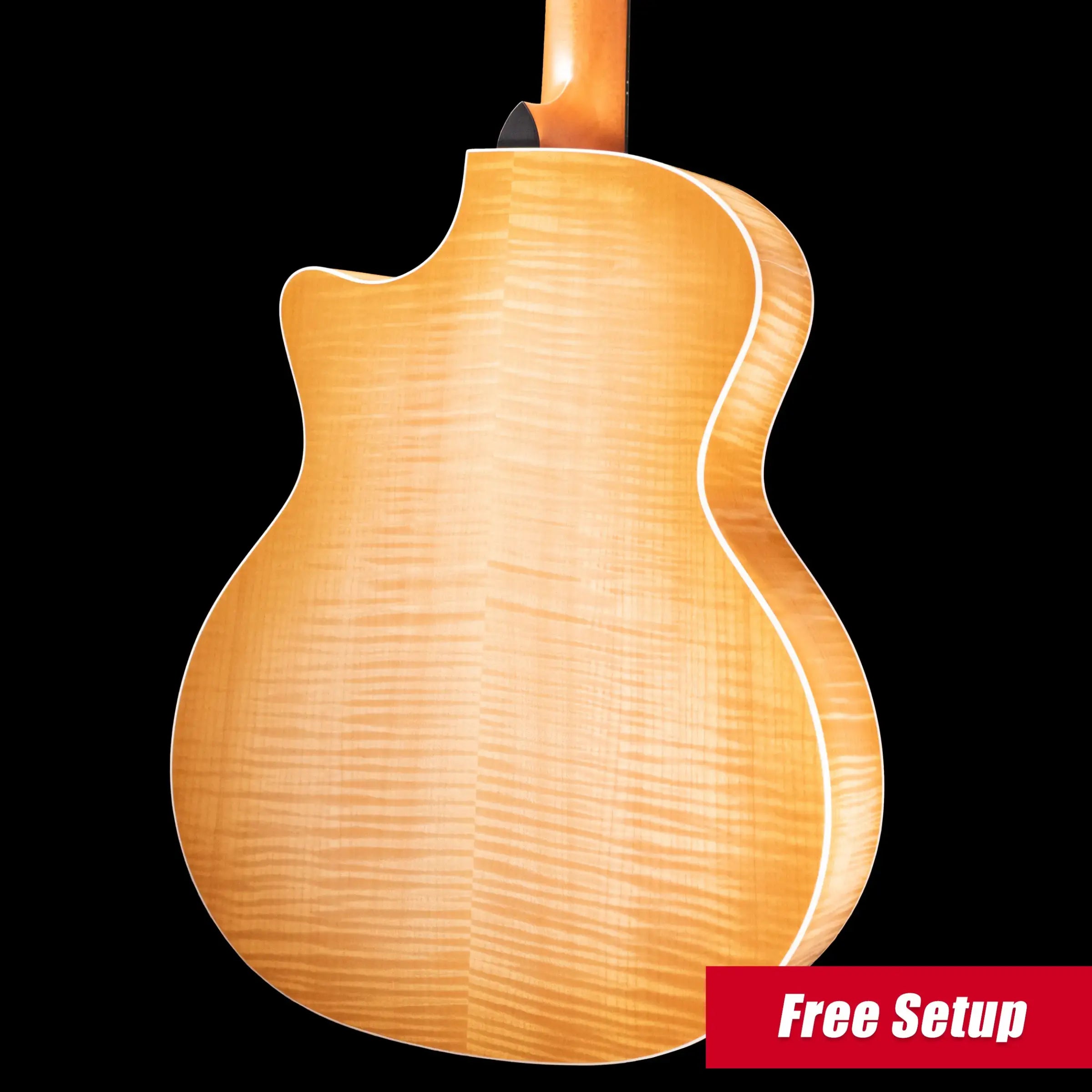 Taylor Prototype 614ce Grand Auditorium Acoustic/Electric Guitar - Maple/Torrified Sitka Spruce with Hardshell Case