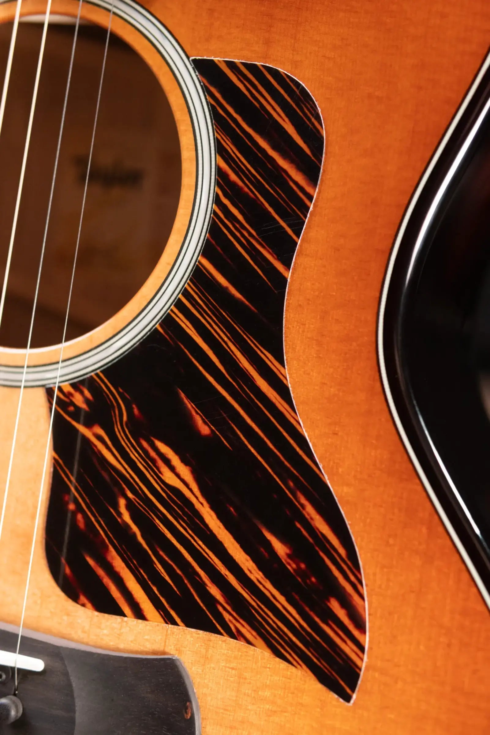 Taylor Prototype Sunset Boulevard Builder's Edition 514ce Grand Auditorium Acoustic/Electric Guitar - Shaded Edge Burst with Hardshell Case