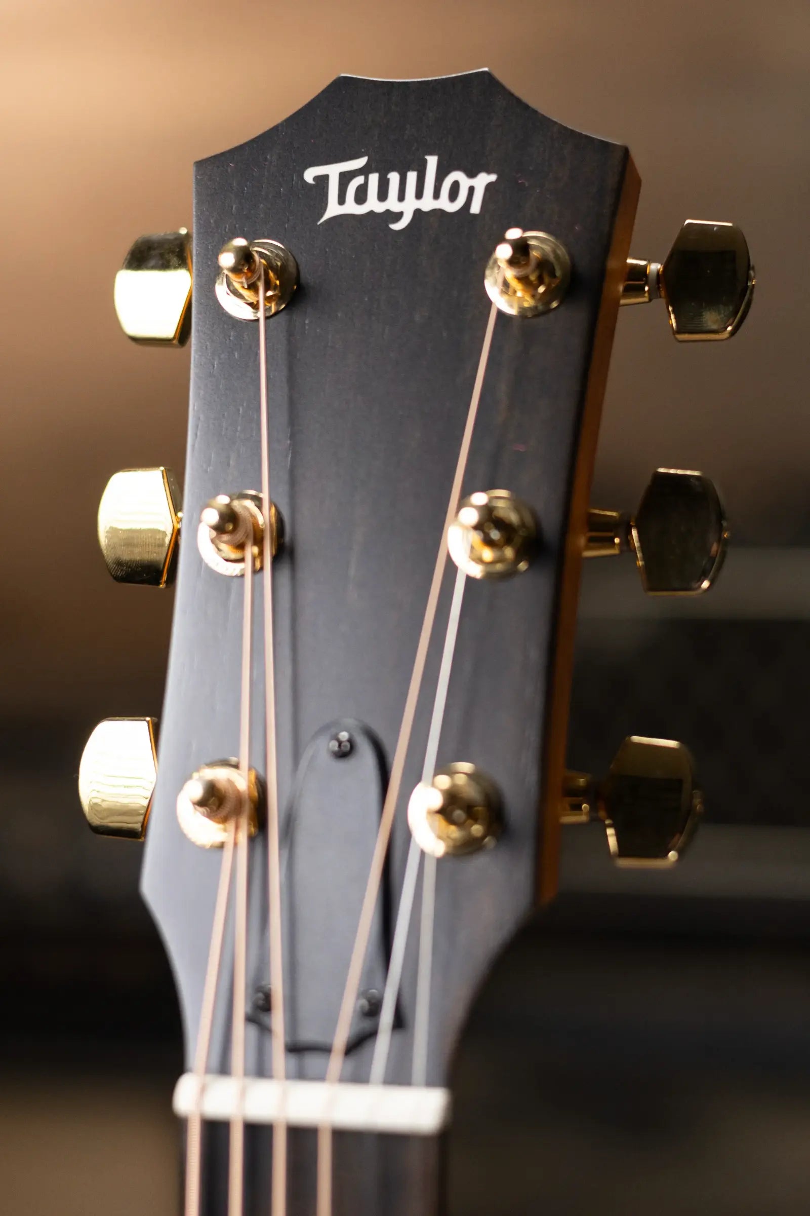 Taylor Sunset Blvd 214ce DLX Grand Auditorium Acoustic/Electric Guitar - Shaded Edge Burst with Hardshell Case - Factory Demo