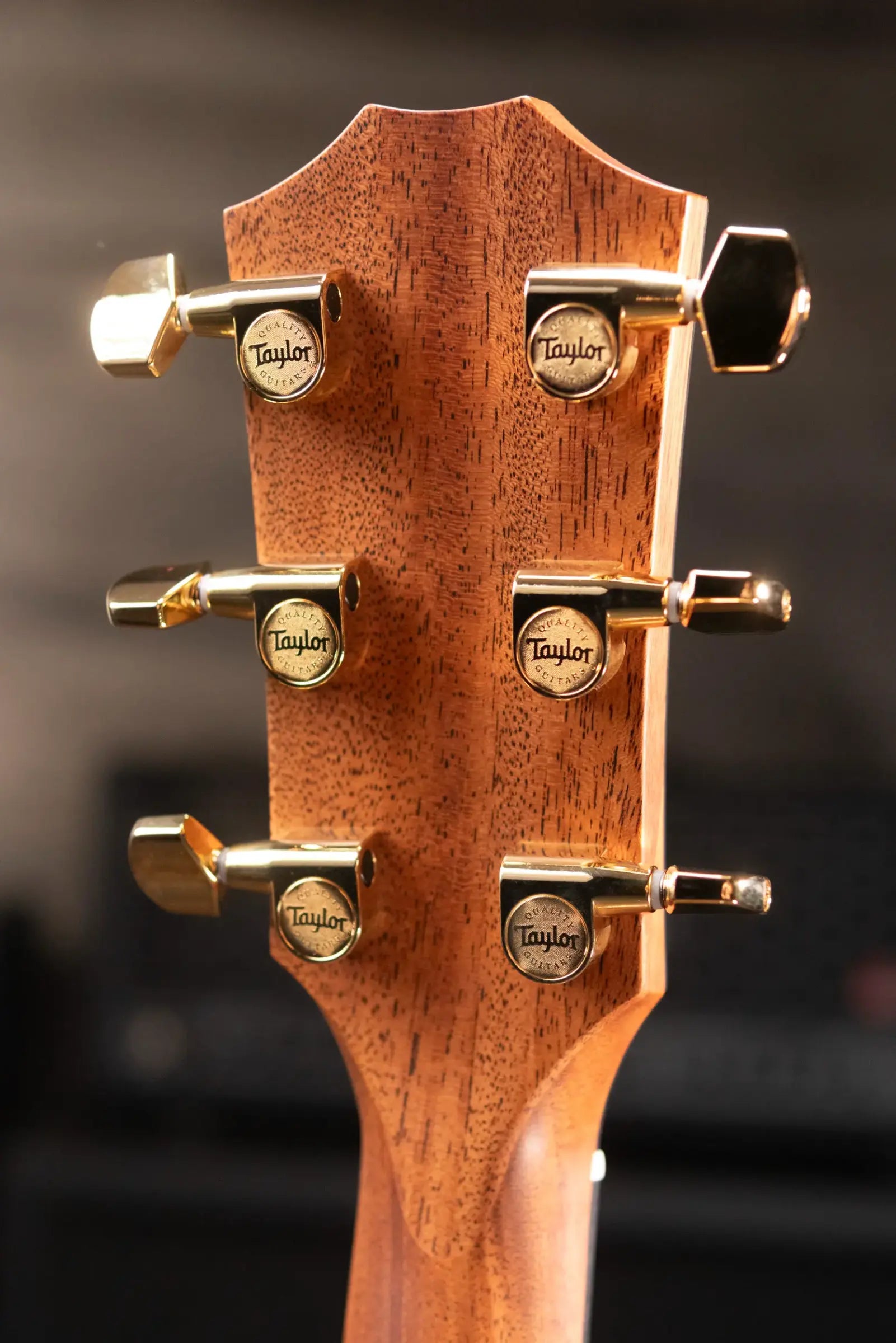 Taylor Sunset Boulevard 414ce Studio Grand Auditorium Acoustic/Electric Guitar - Shaded Edge Burst with Gig Bag - Used