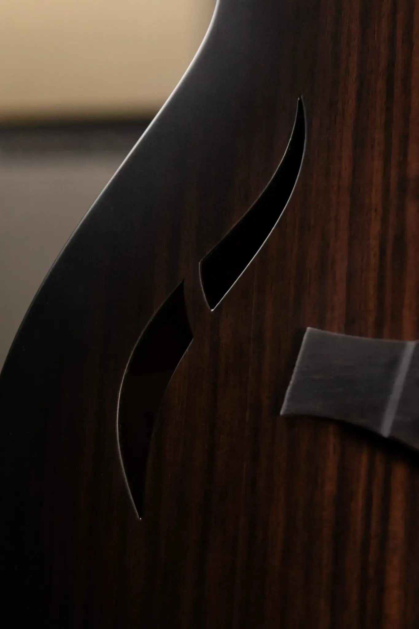 Taylor T5z Classic Electric Guitar - Rosewood with Aerocase