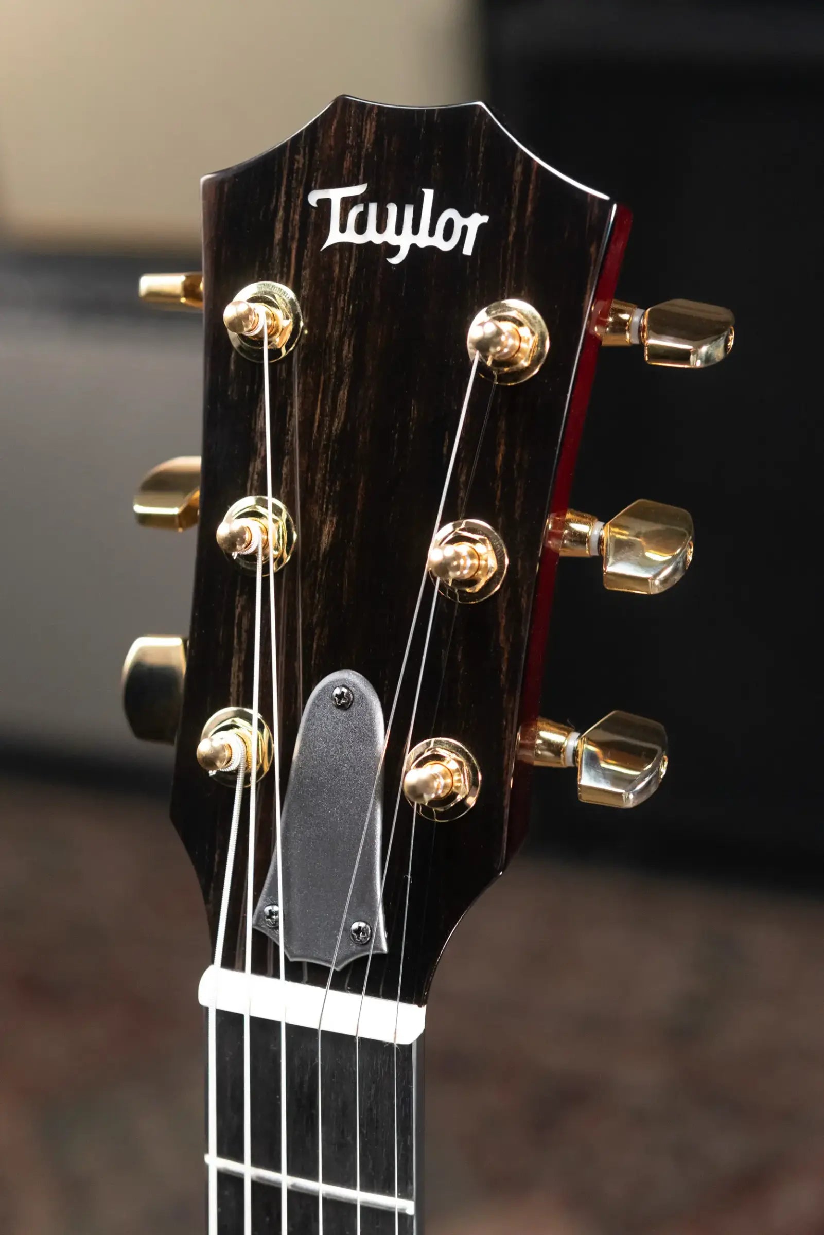 Taylor T5z Custom Electric Guitar with Hardshell Case