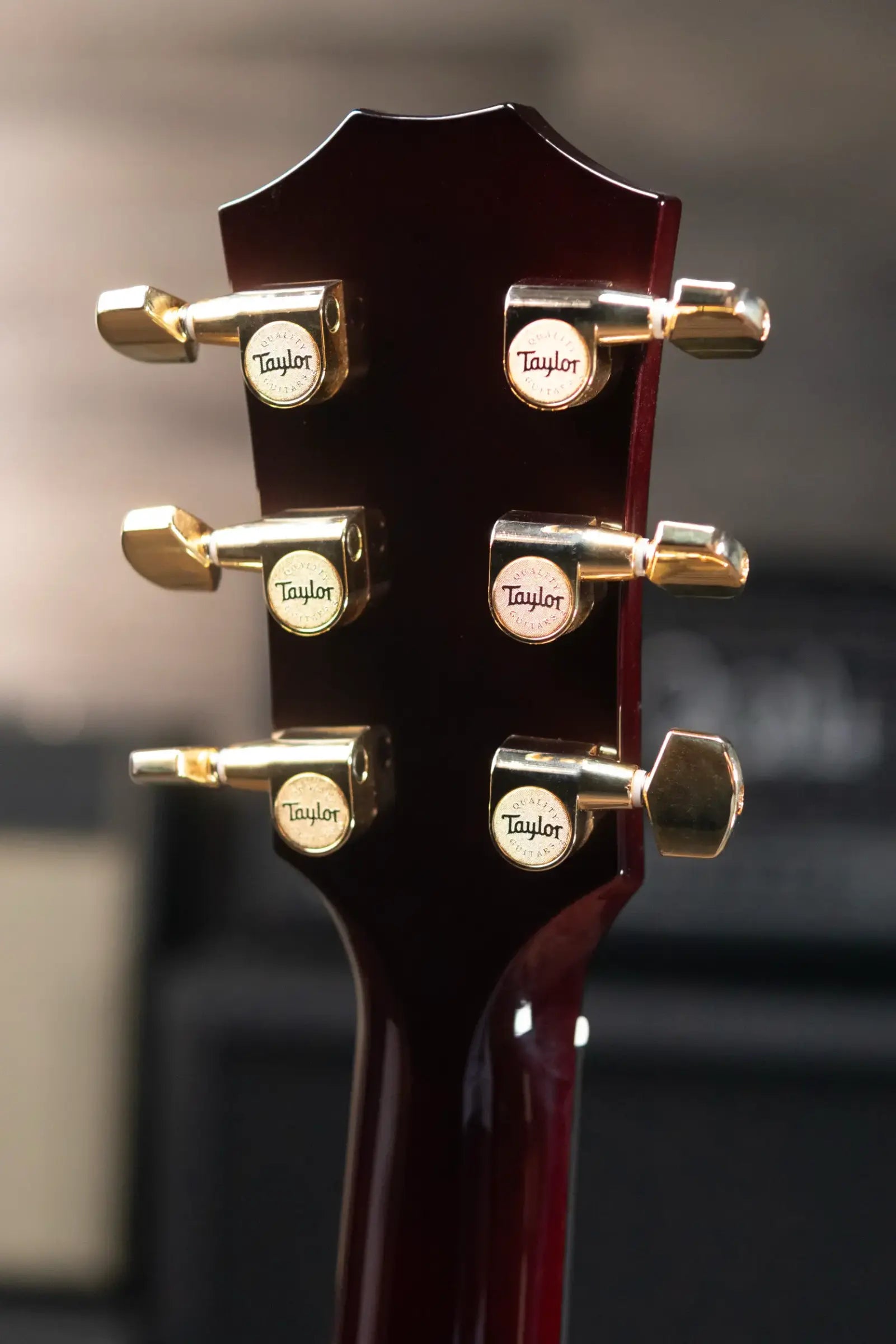 Taylor T5z Custom Electric Guitar with Hardshell Case