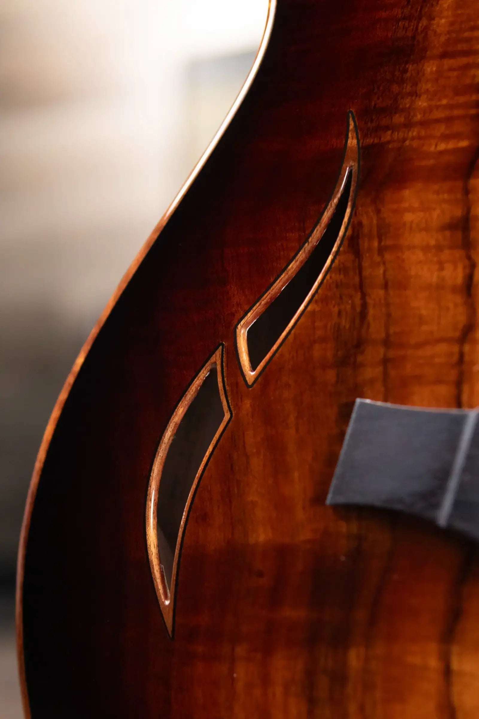 Taylor T5z Custom Electric Guitar with Hardshell Case