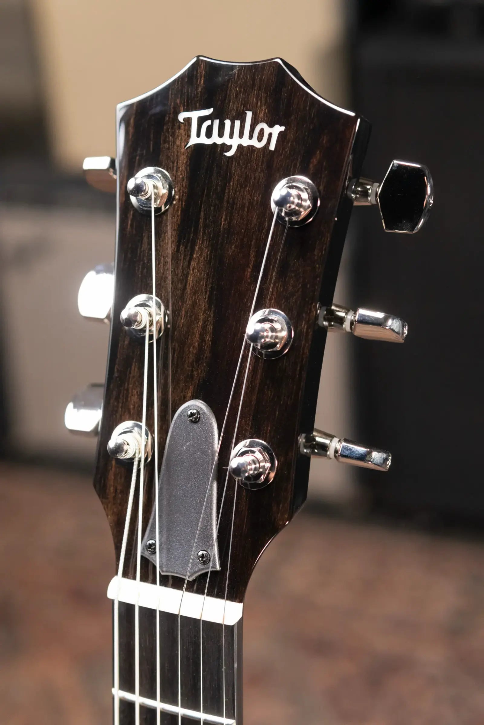 Taylor T5z Pro Electric Guitar - Grapevine with Hardshell Case