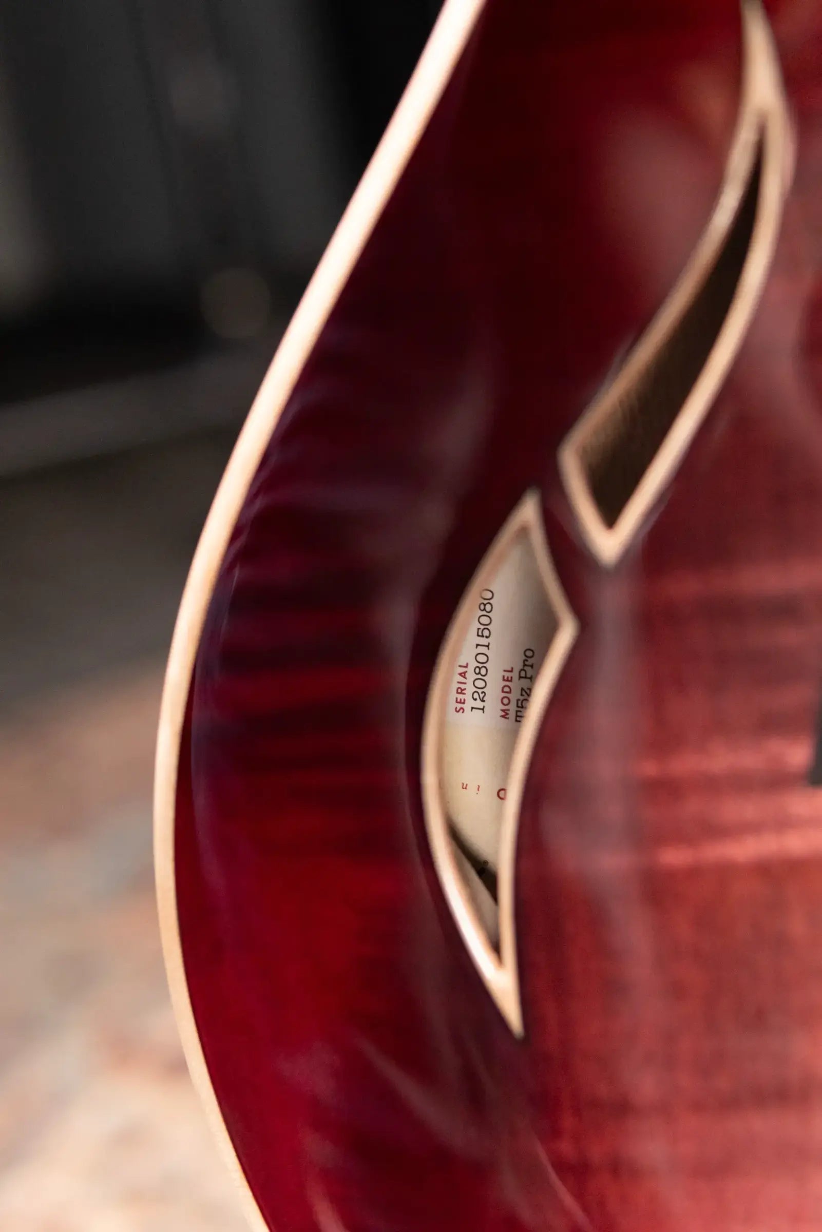 Taylor T5z Pro Electric Guitar - Grapevine with Hardshell Case