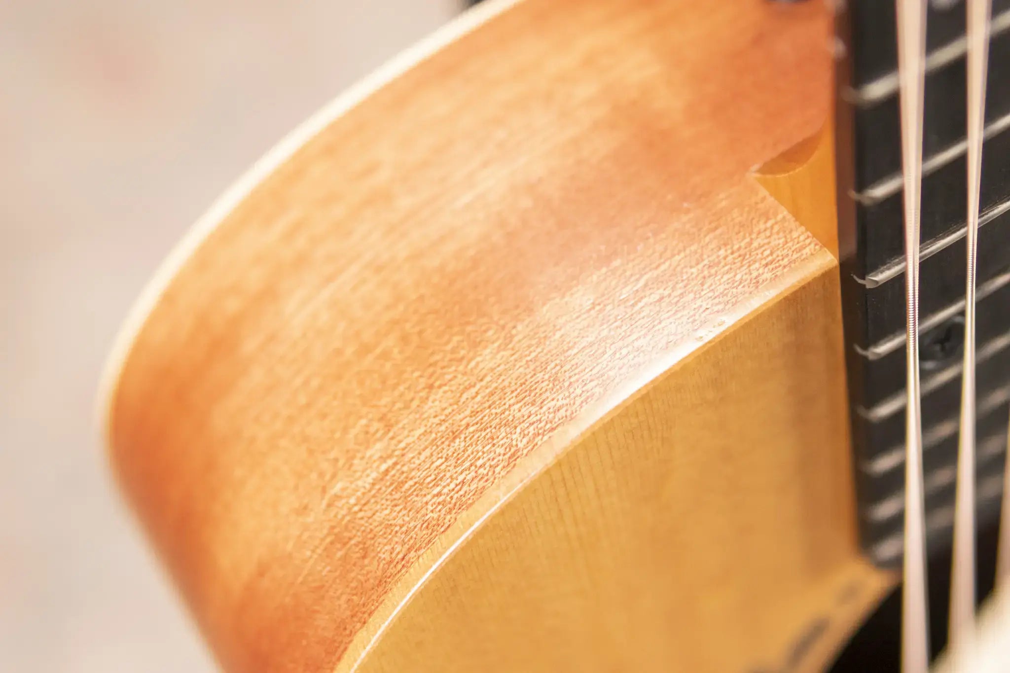 Taylor TS-BT Taylor Swift Signature Baby Taylor Acoustic Guitar with Gig Bag