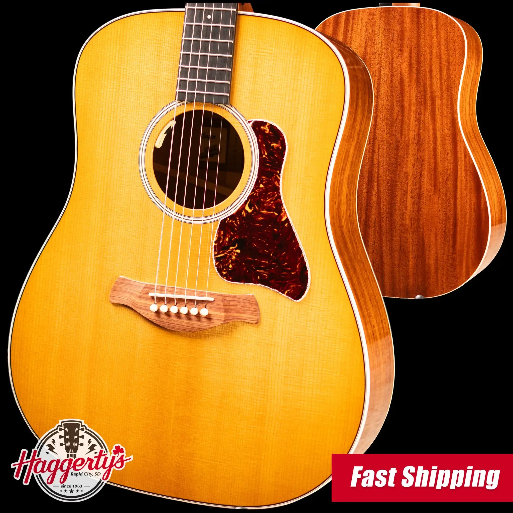 Taylor Trey Hensley Signature Gold Label 510e Dreadnought Acoustic/Electric Guitar with Hardshell Case