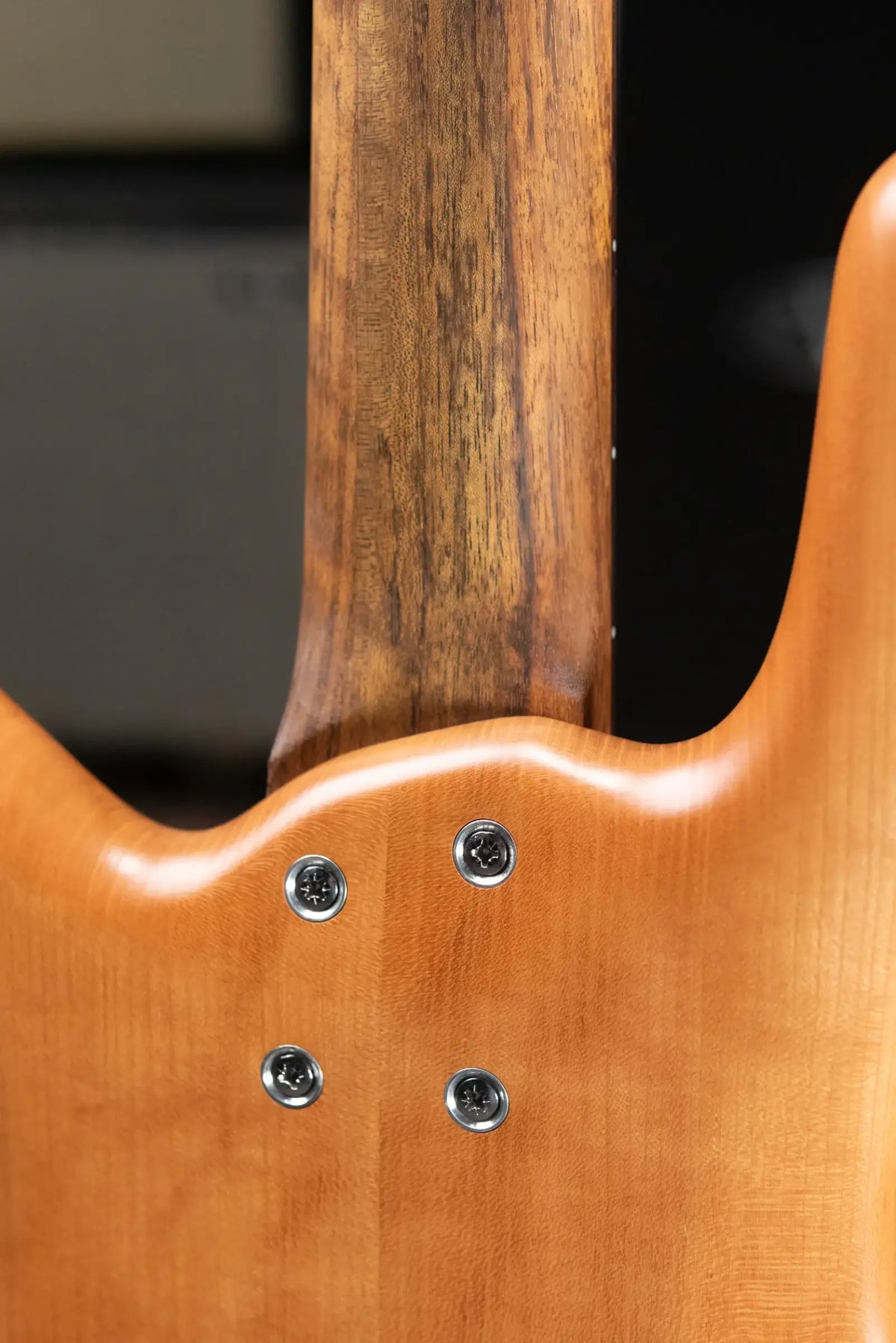 Warwick Pro Series Streamer LX 5-String Bass - Natural Transparent Satin with Gig Bag