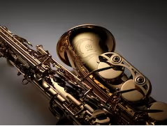Yamaha YAS-480 Intermediate Eb Alto Saxophone