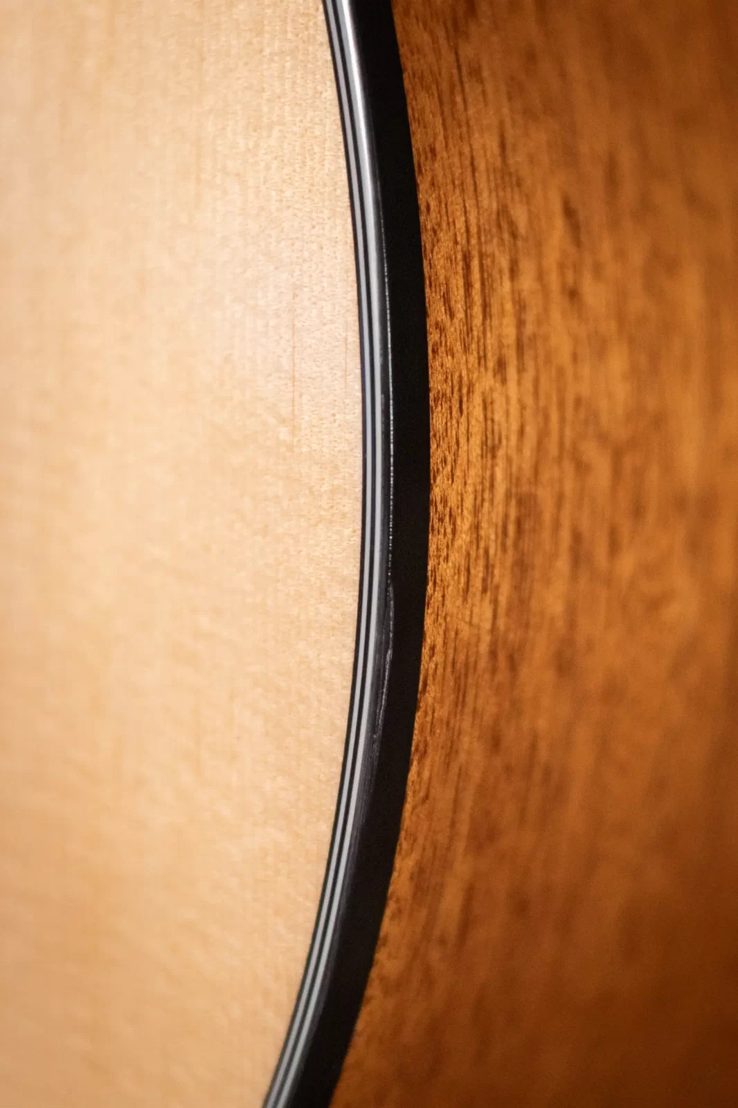 Yamaha FS800 Concert Acoustic Guitar