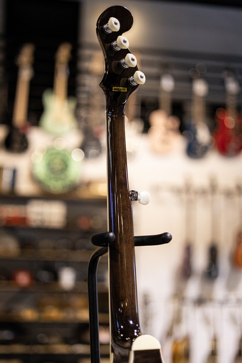 Gold Tone Banjola+ Woodbody Banjo with Pickup and Bag