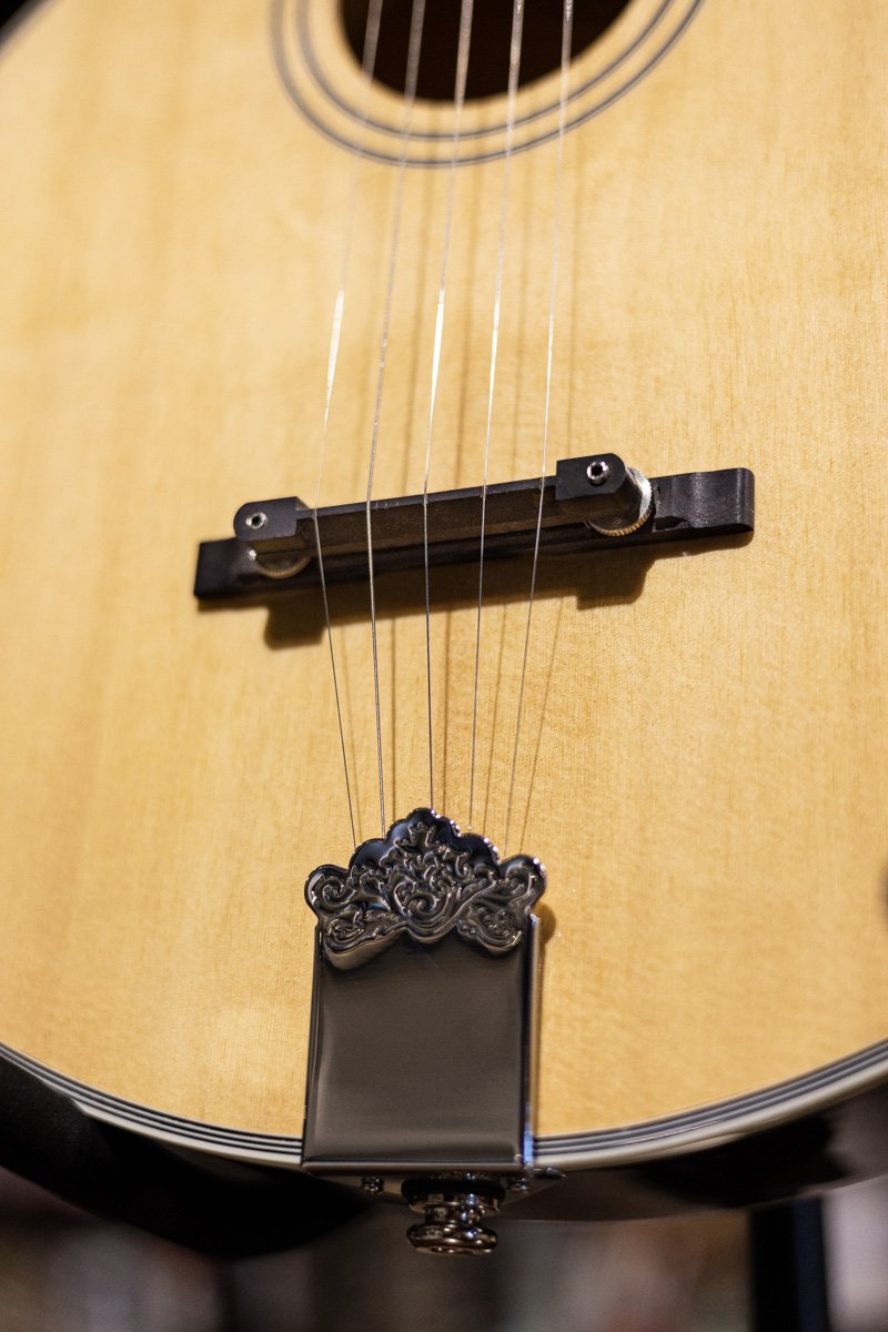 Gold Tone Banjola+ Woodbody Banjo with Pickup and Bag