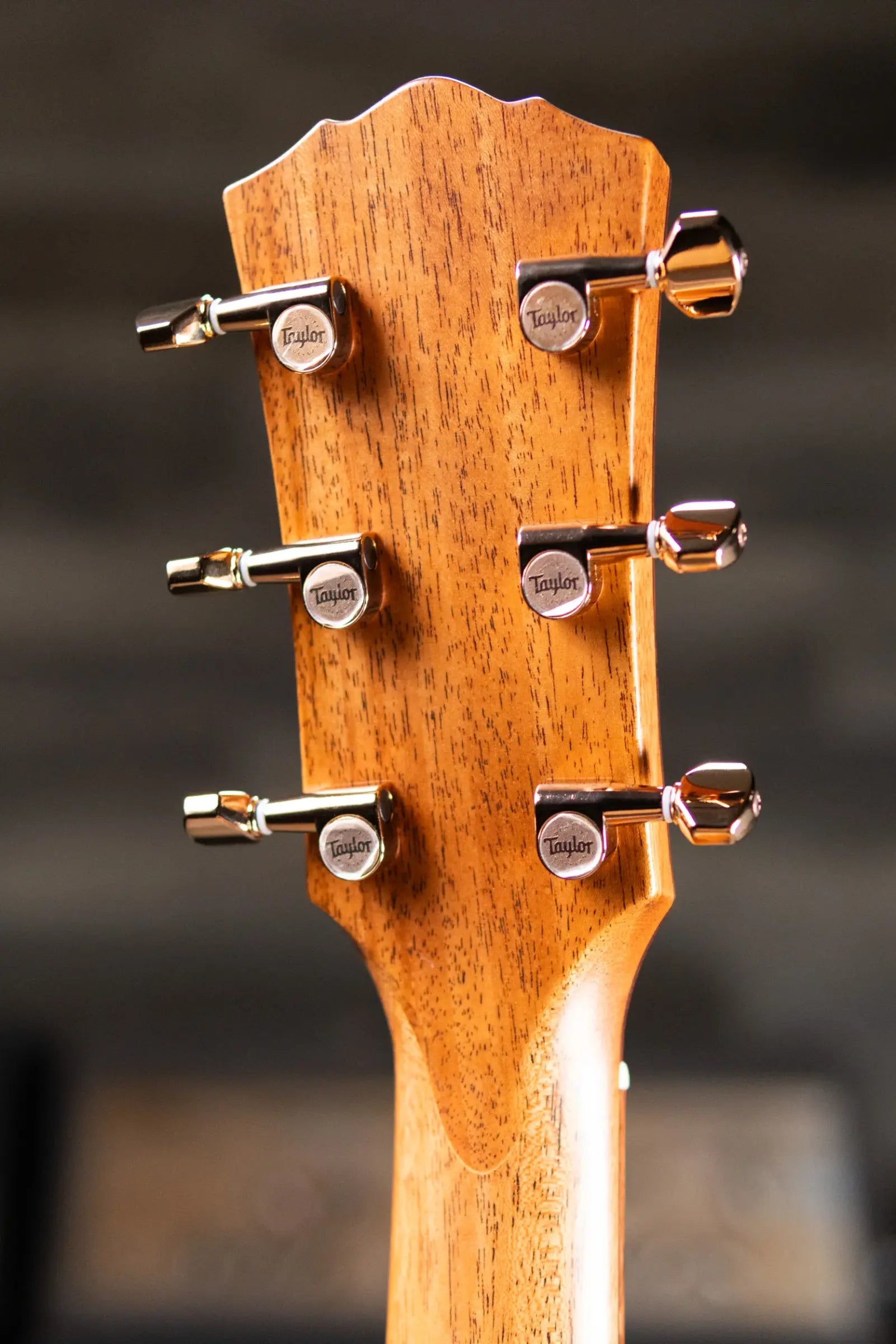 Taylor Ben Harper Signature Gold Label 512e SE Grand Concert Acoustic/Electric Guitar - Sunburst Top with Hardshell Case