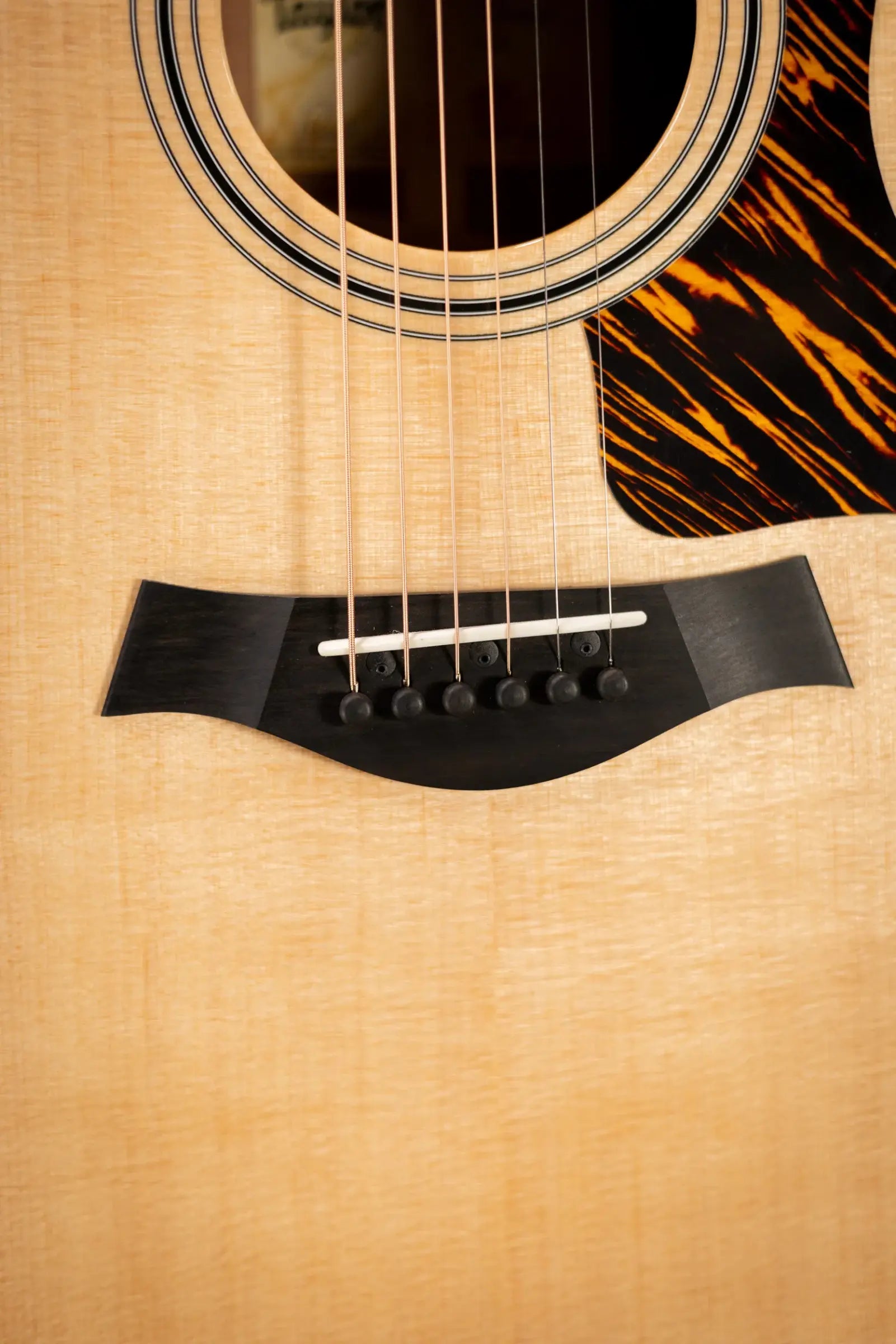 Taylor 312ce Grand Concert Acoustic/Electric Guitar with Hardshell Case