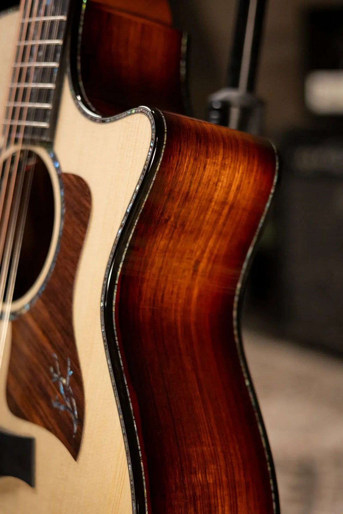 Taylor Next Generation PS54ce Presentation Series 12-String Grand Auditorium Acoustic/Electric Guitar - Honduran Rosewood/Adirondack Spruce with Hardshell Case