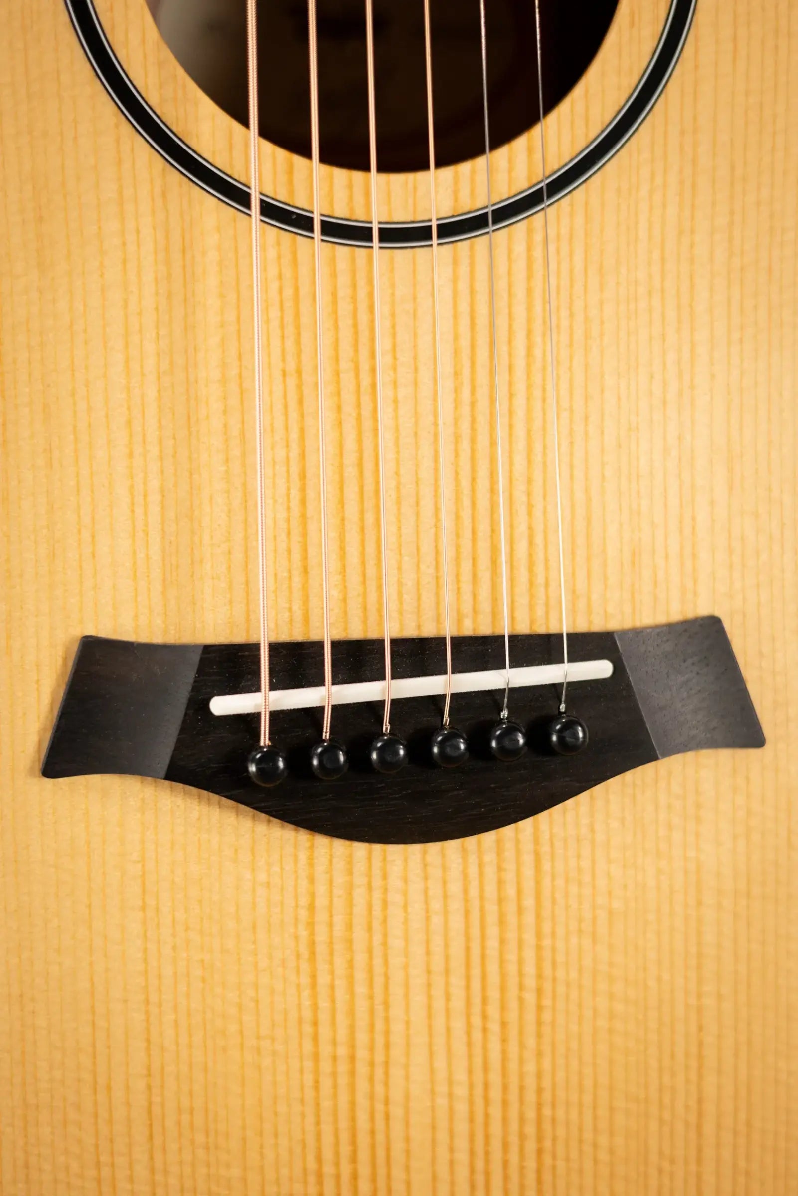 Taylor BT1 Baby Taylor Acoustic Guitar with Gig Bag