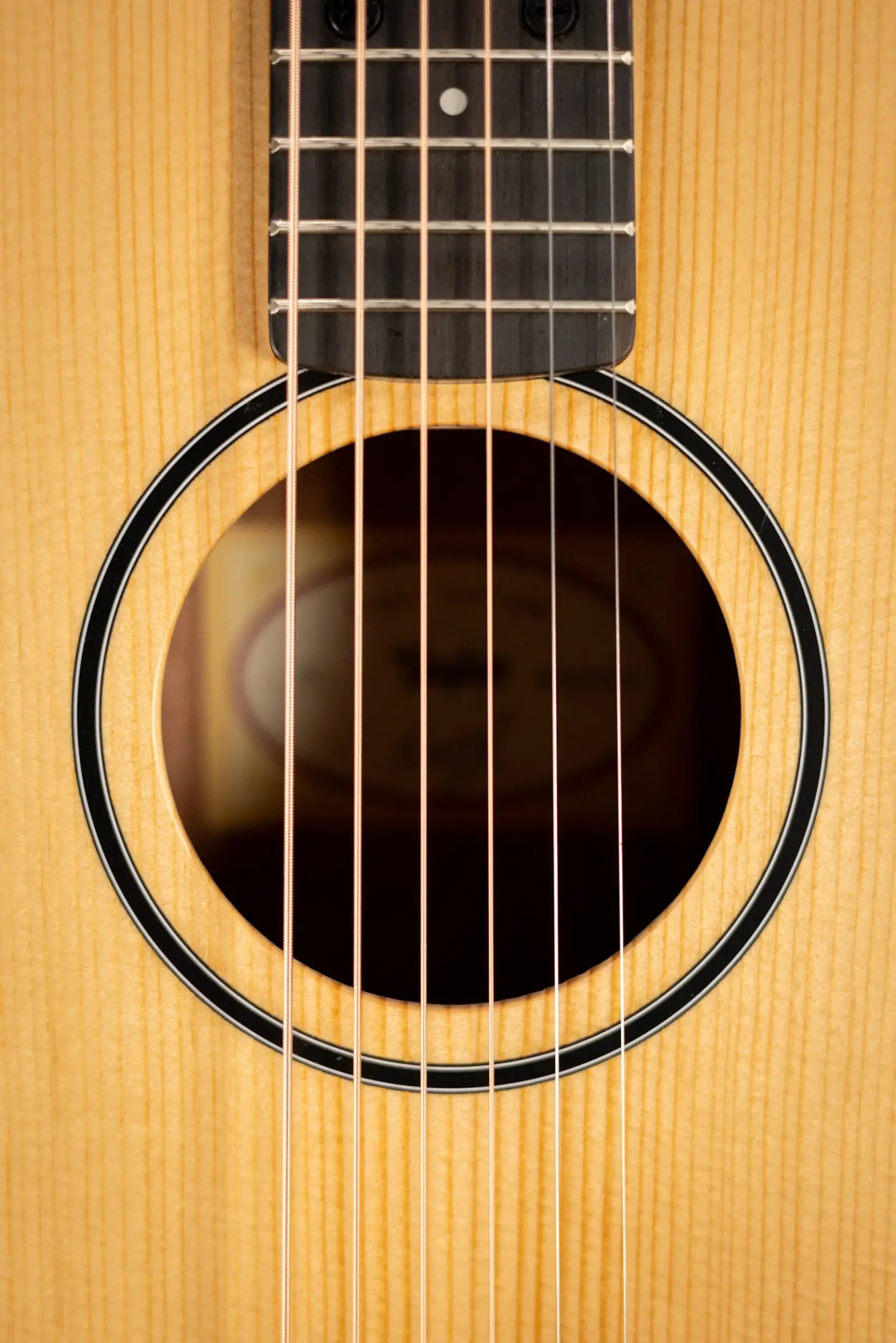 Taylor BT1 Baby Taylor Acoustic Guitar with Gig Bag