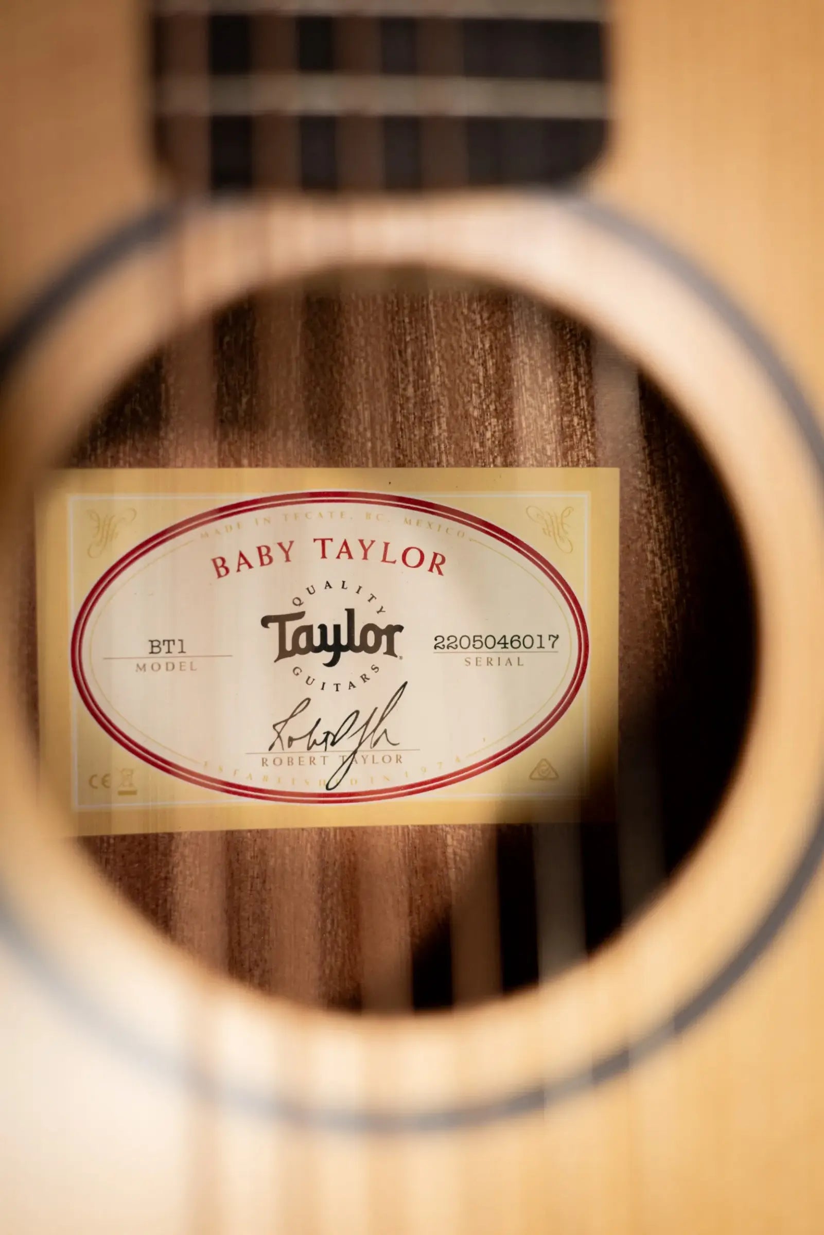 Taylor BT1 Baby Taylor Acoustic Guitar with Gig Bag