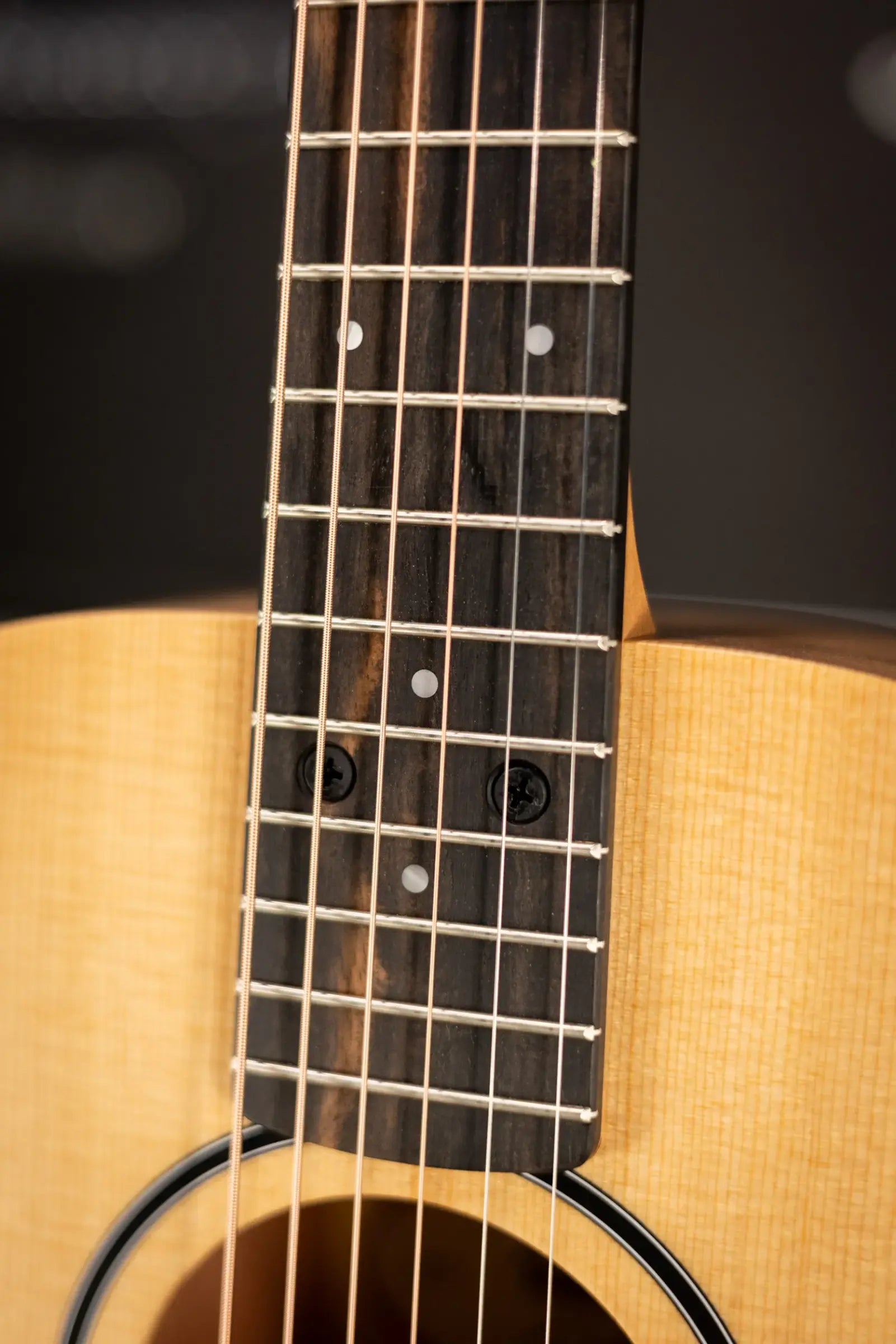 Taylor BT1 Baby Taylor Acoustic Guitar with Gig Bag