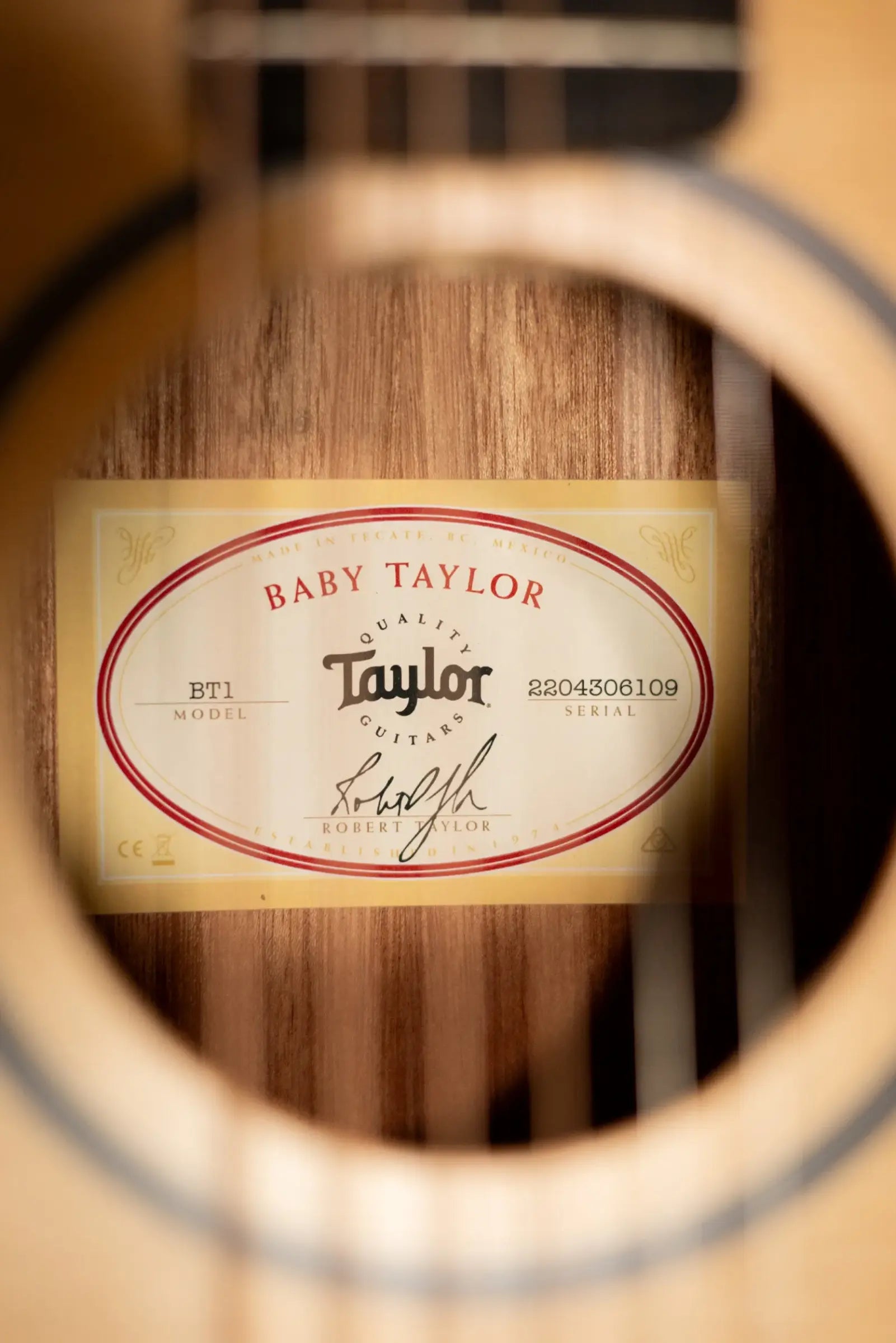Taylor BT1 Baby Taylor Acoustic Guitar with Gig Bag