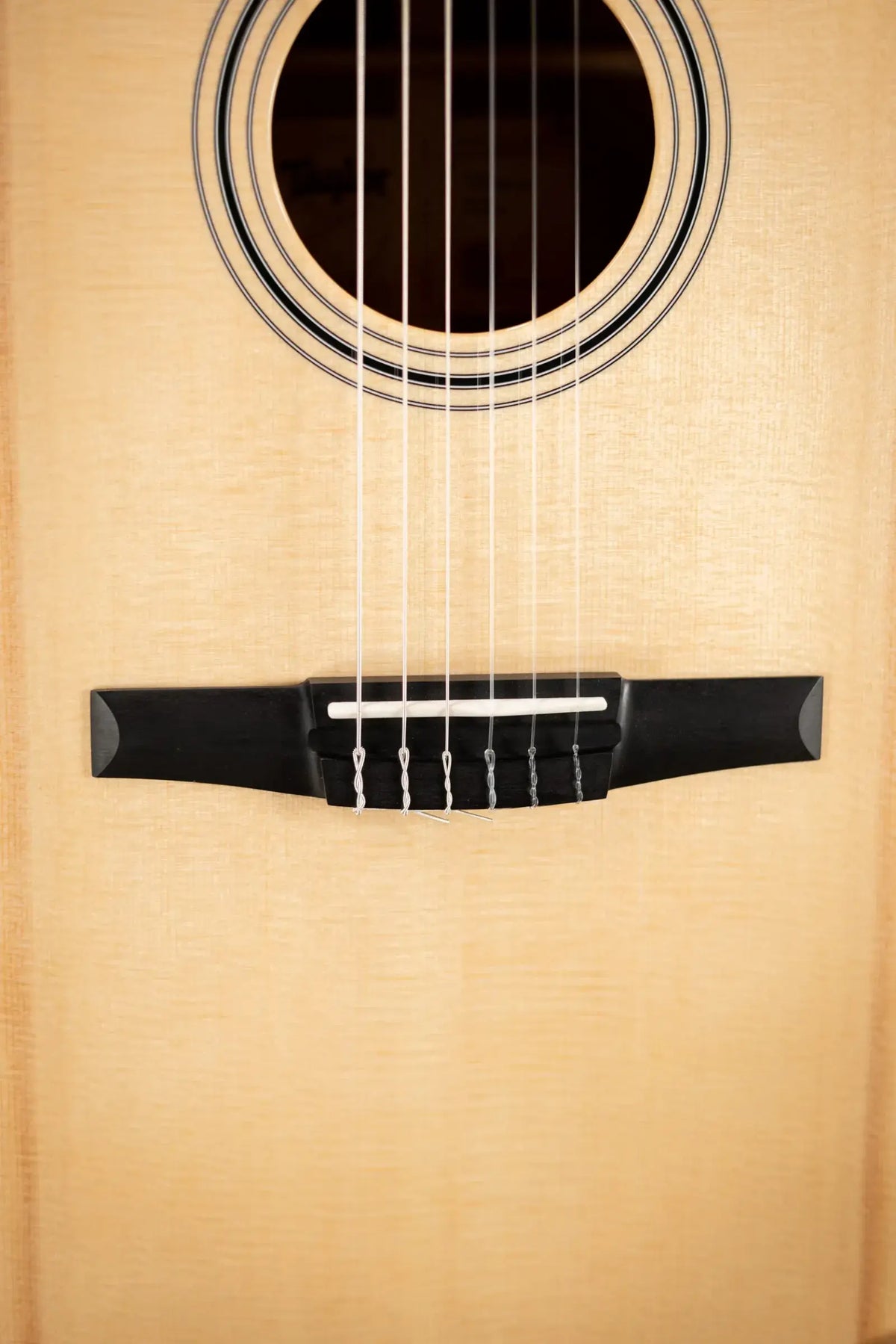 Taylor 314ce-N Nylon Grand Auditorium Acoustic/Electric Guitar with Hardshell Case