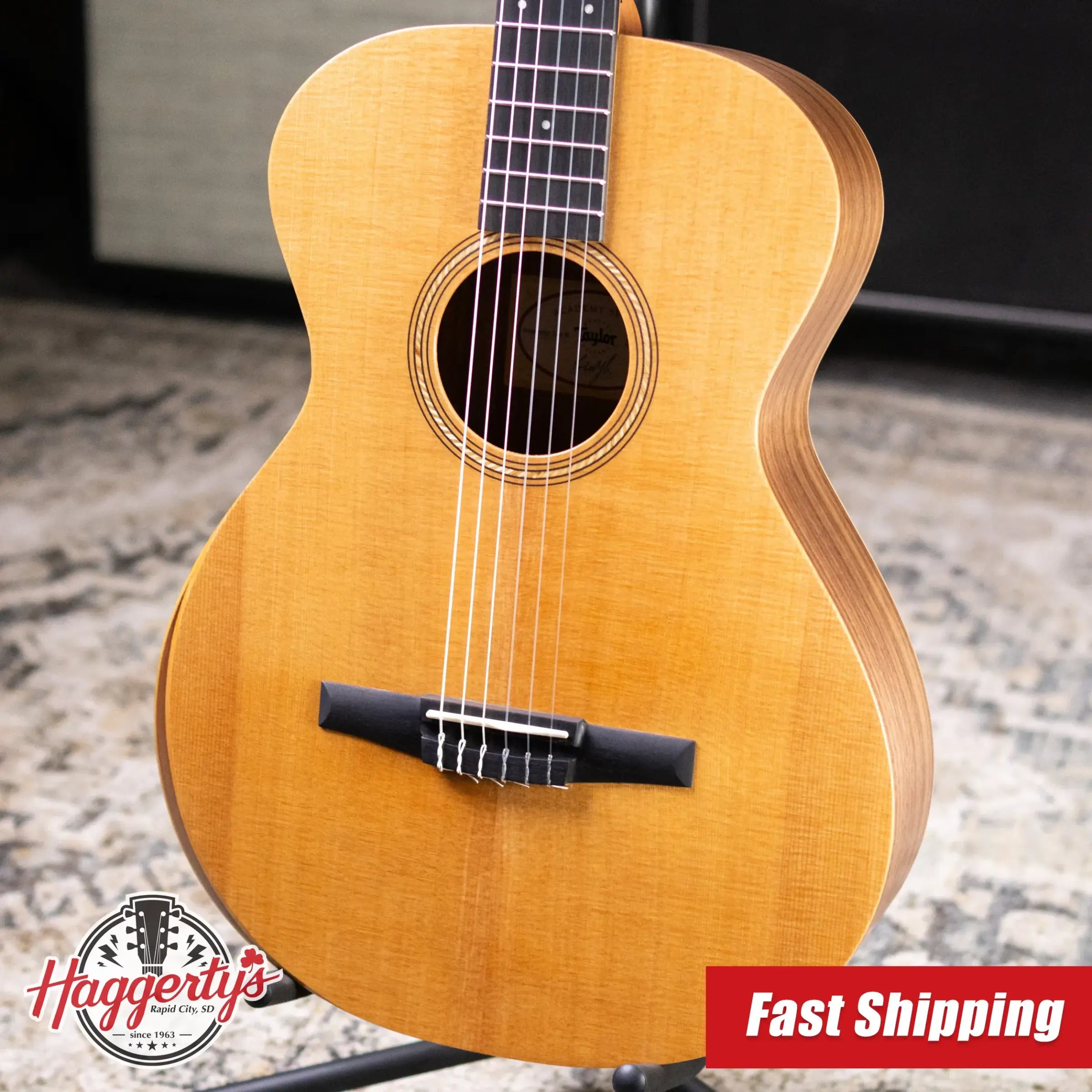 Taylor Academy 12e-N Nylon Grand Concert Acoustic/Electric Guitar with Gig Bag