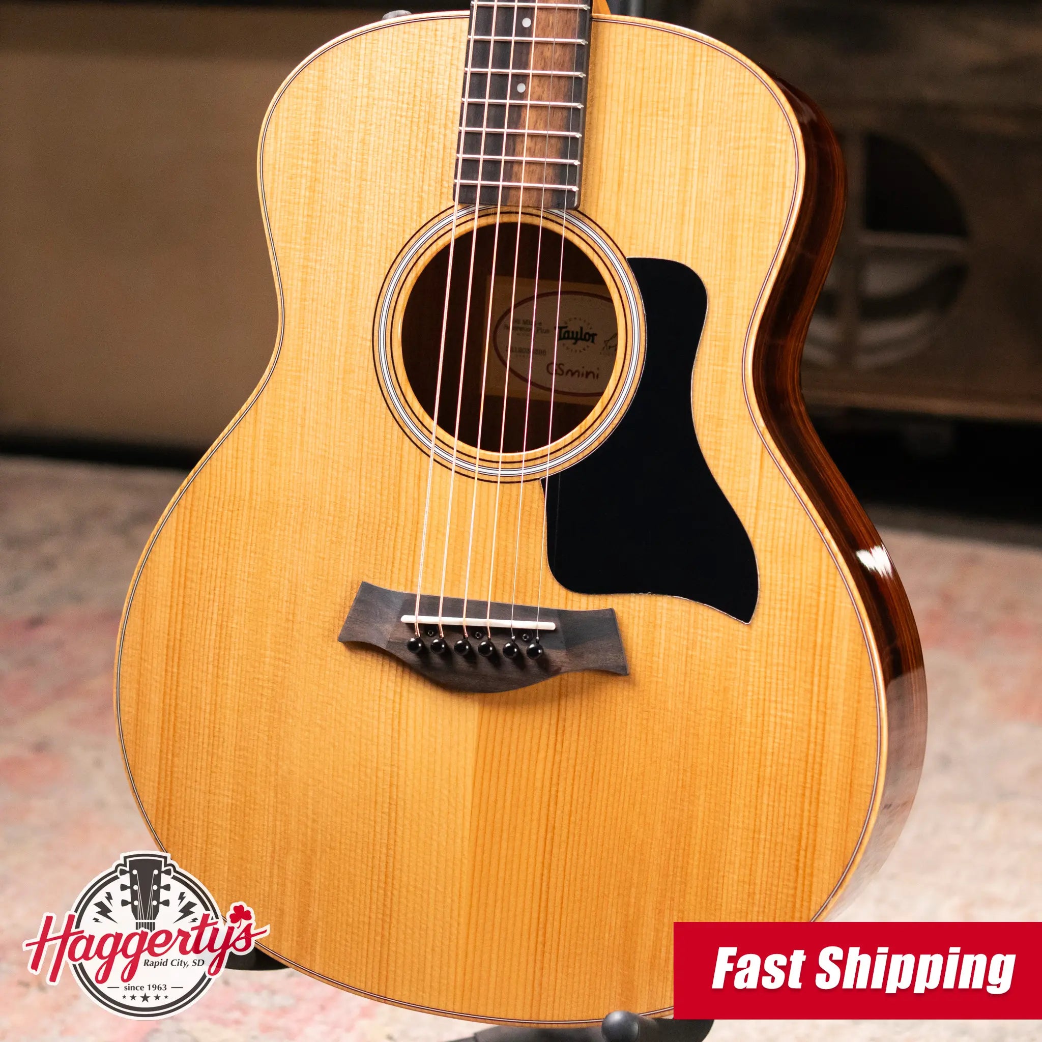 Taylor GS Mini-e Rosewood Plus Acoustic/Electric Guitar with Aerocase