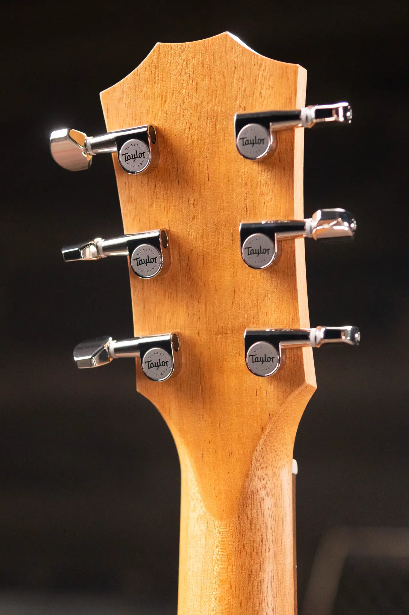 Taylor GS Mini-e Rosewood Plus Acoustic/Electric Guitar with Aerocase