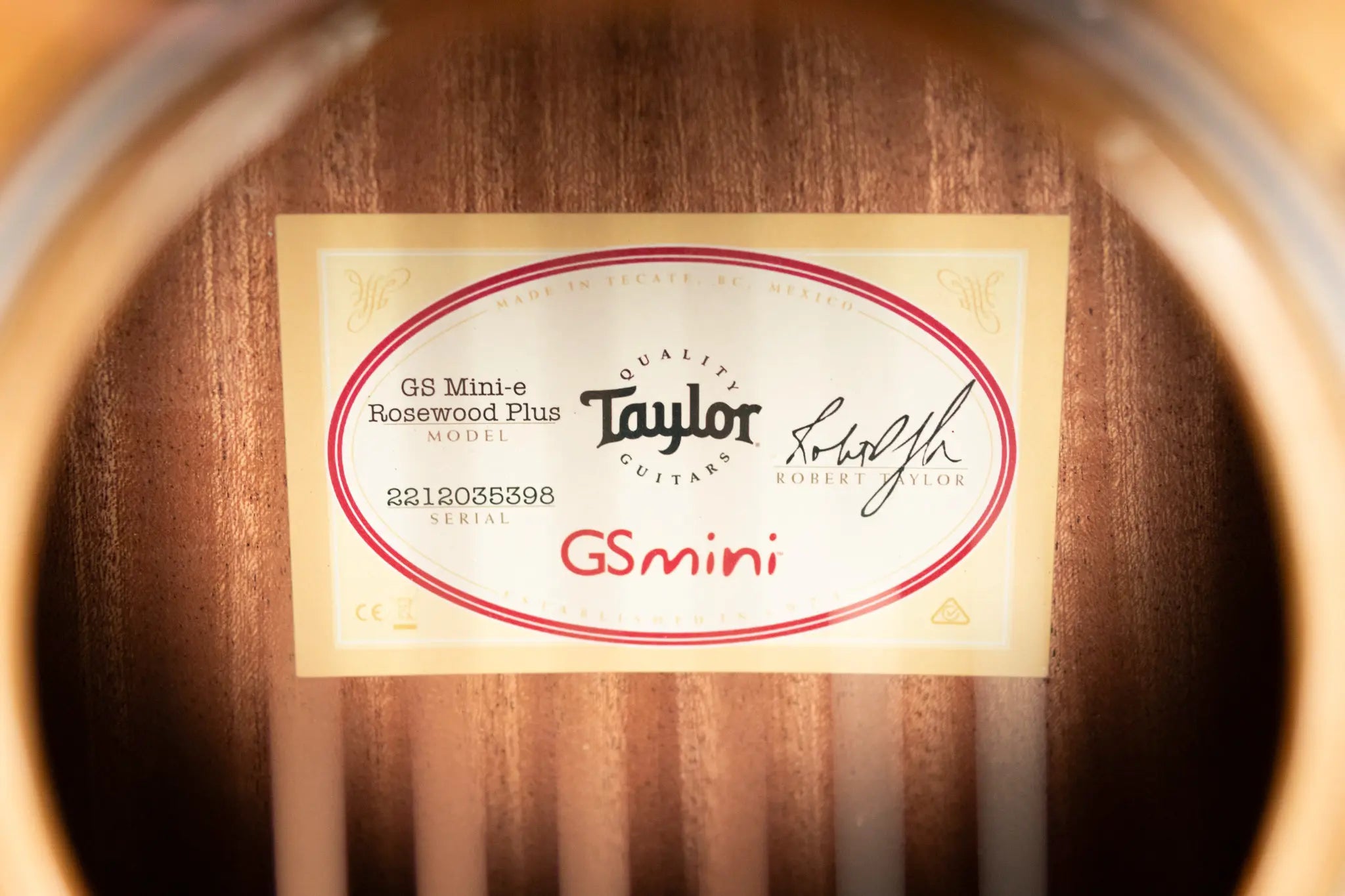 Taylor GS Mini-e Rosewood Plus Acoustic/Electric Guitar with Aerocase