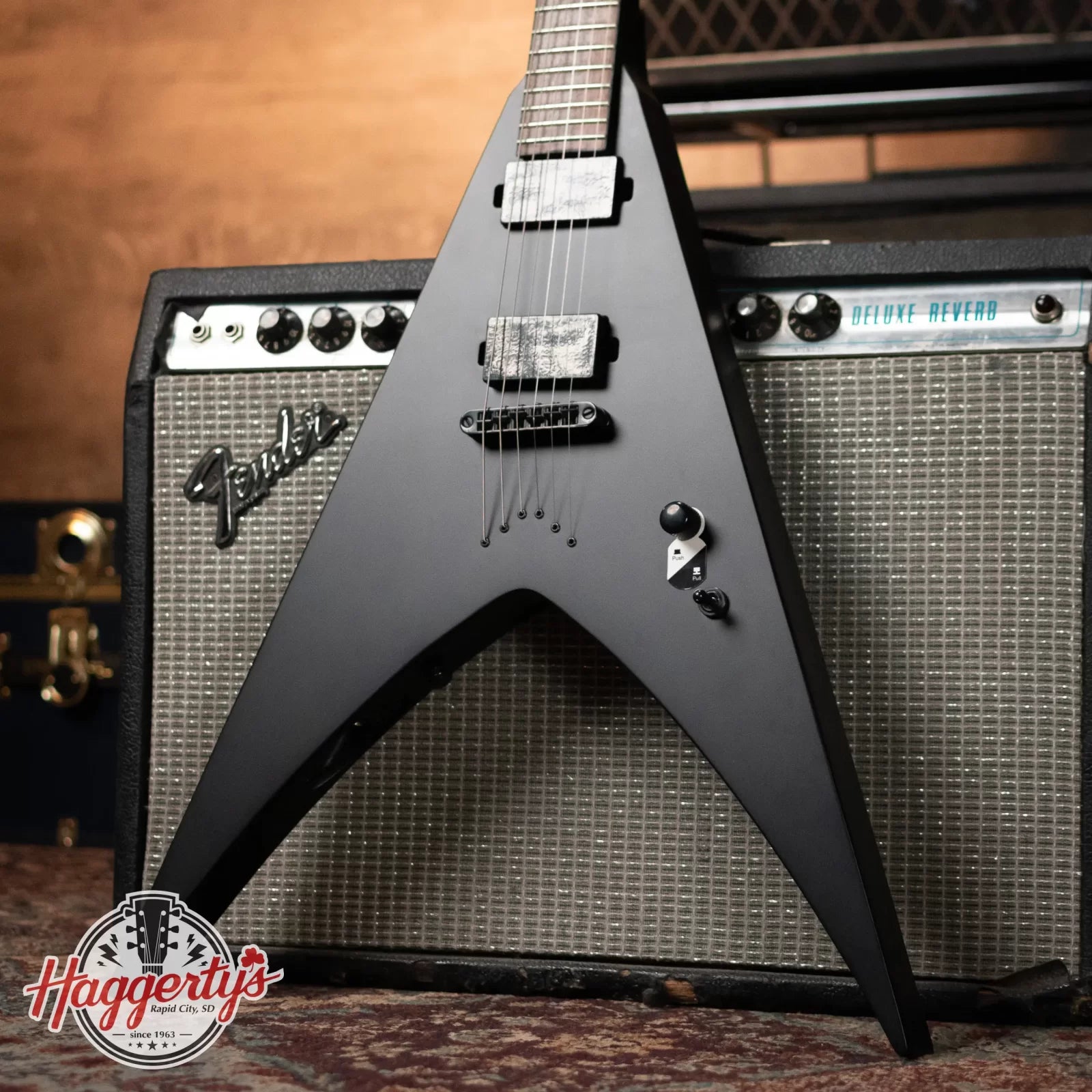 ESP LTD Nergal HEX-200 Signature Electric Guitar - Black Satin