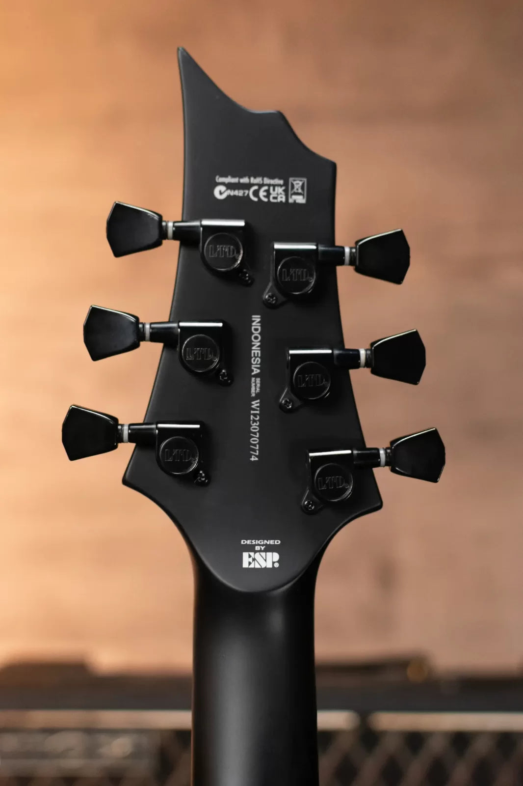 ESP LTD Nergal HEX-200 Signature Electric Guitar - Black Satin