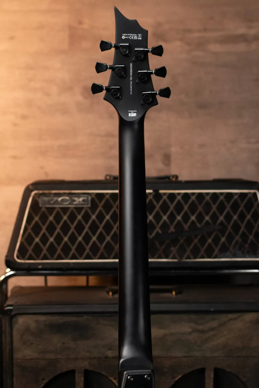 ESP LTD Nergal HEX-200 Signature Electric Guitar - Black Satin