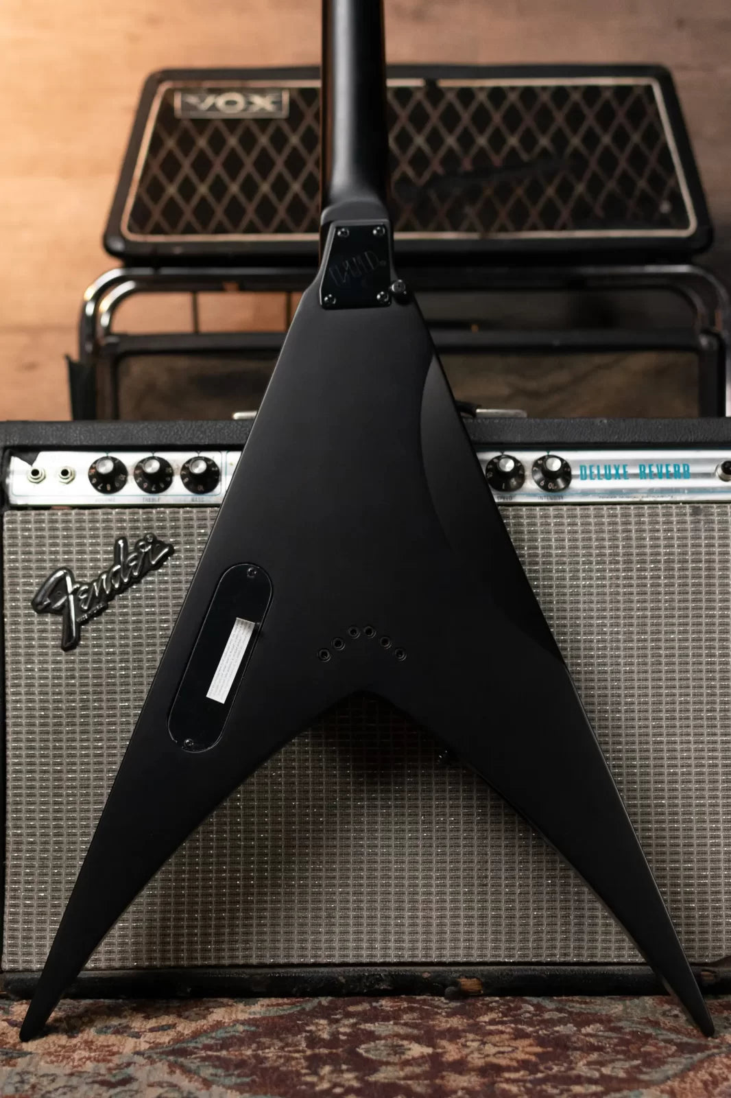 ESP LTD Nergal HEX-200 Signature Electric Guitar - Black Satin