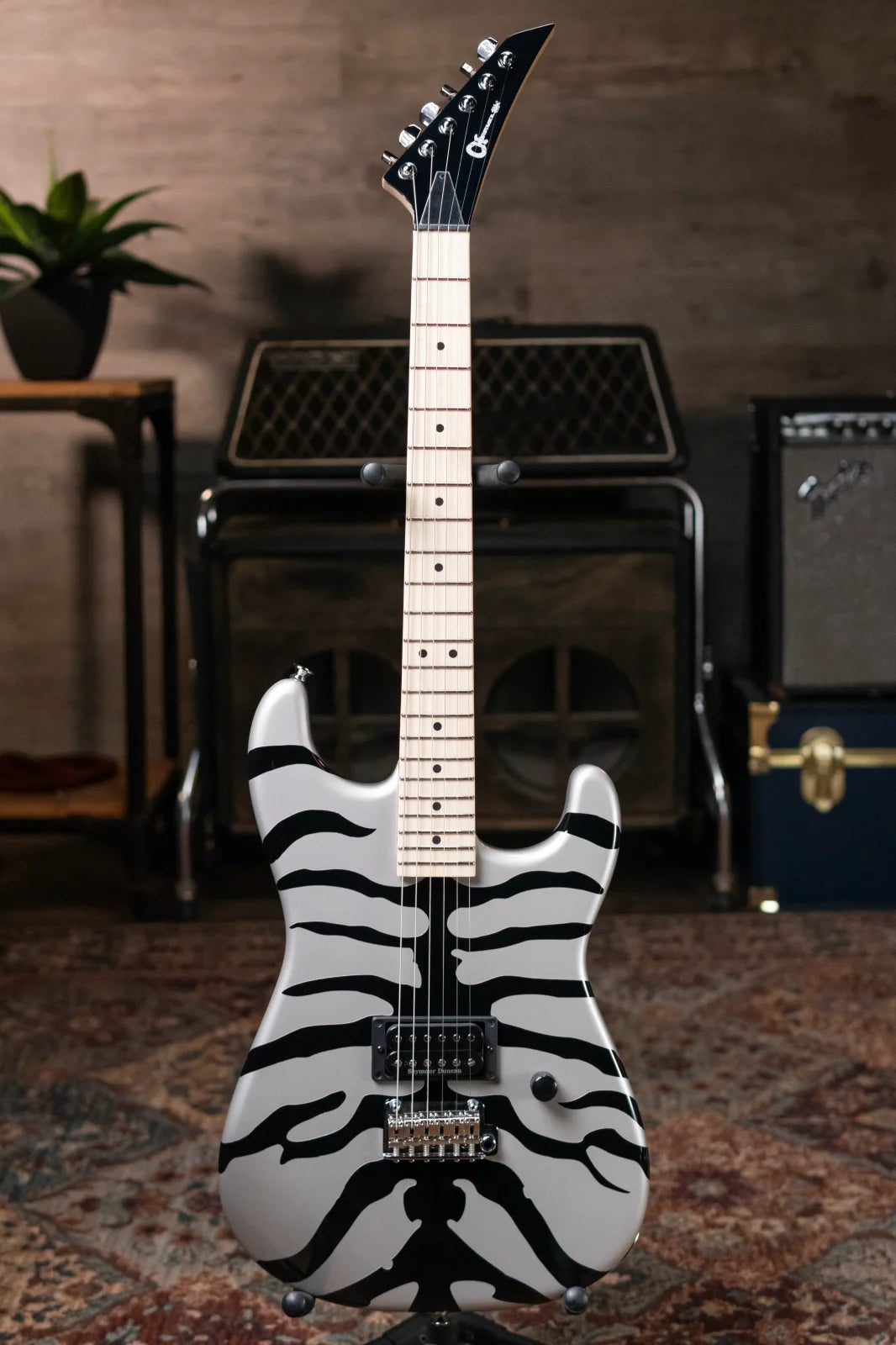 new 6 8 lbs Charvel Super Stock SD1 H 2PT Maple Fingerboard Silver Bengal haggertys 02