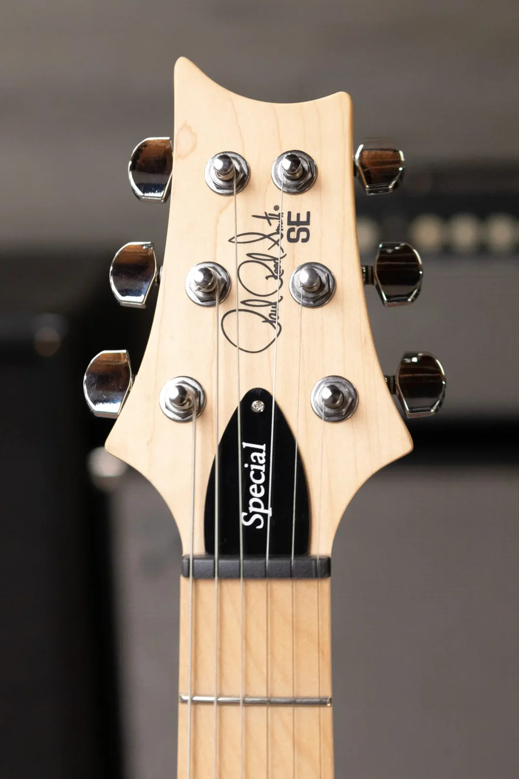 PRS SE Swamp Ash Special Electric Guitar - Charcoal with Gig Bag