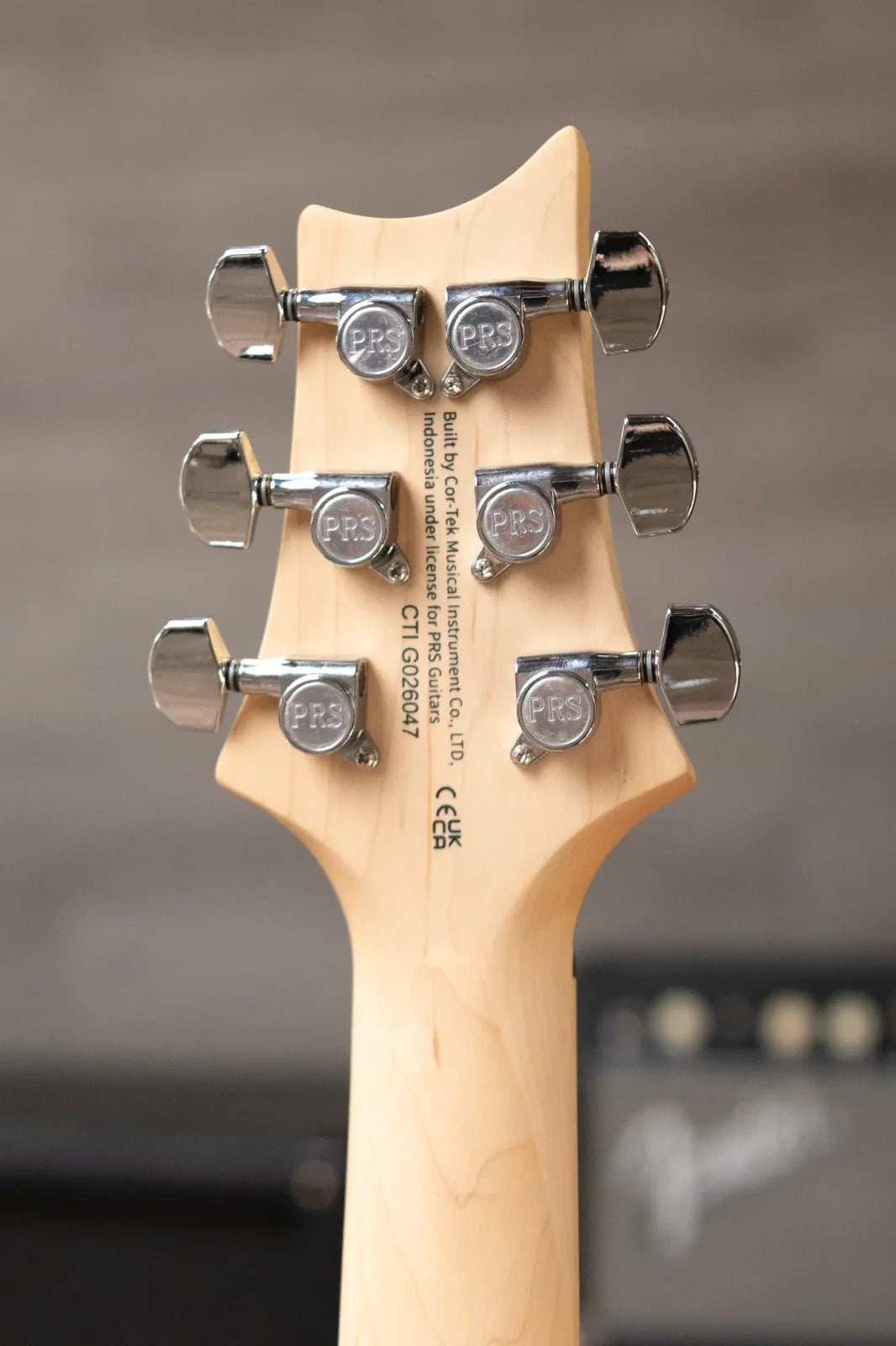 PRS SE Swamp Ash Special Electric Guitar - Charcoal with Gig Bag