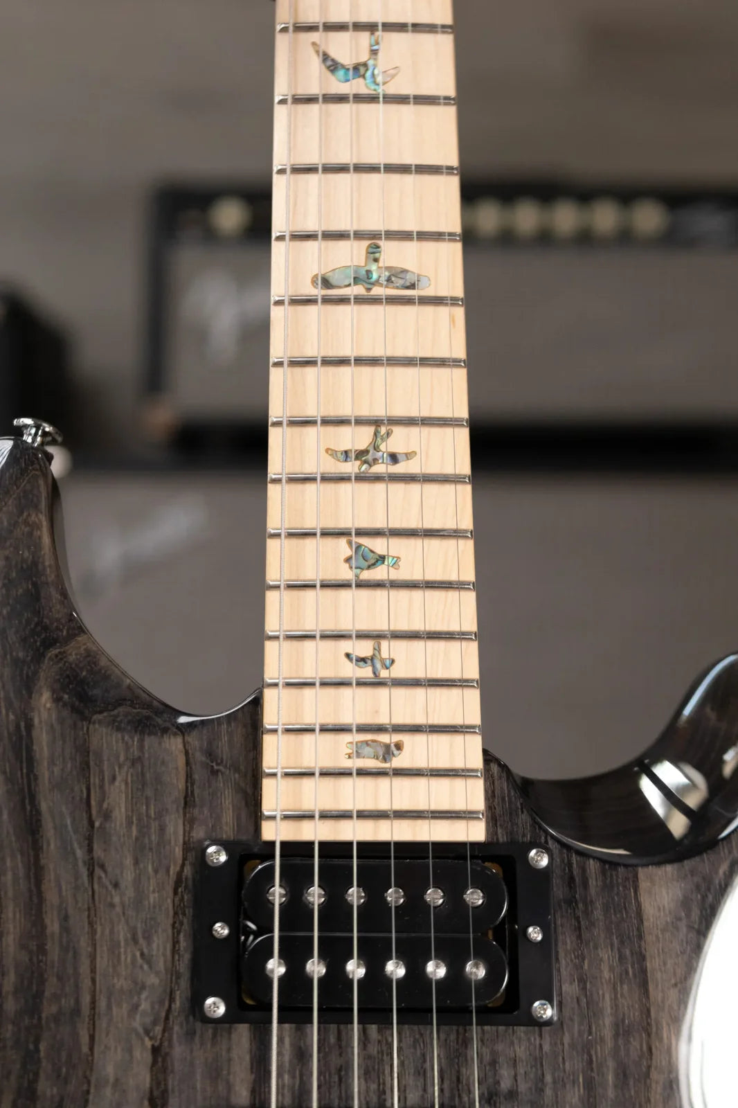 PRS SE Swamp Ash Special Electric Guitar - Charcoal with Gig Bag