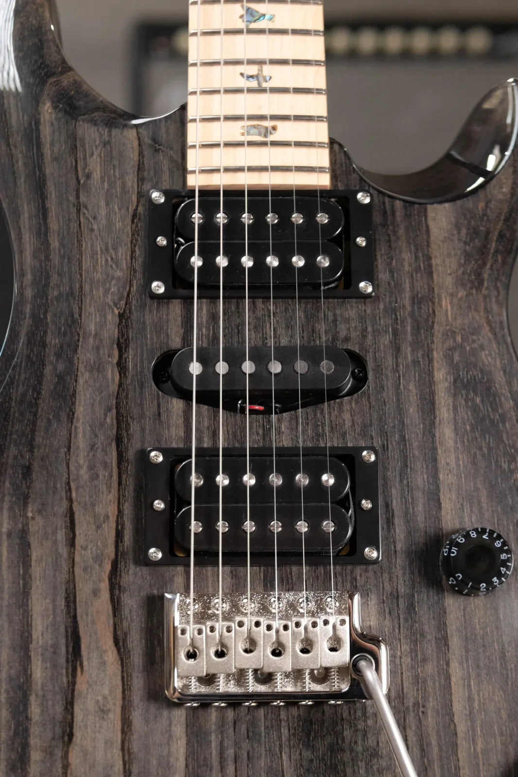 PRS SE Swamp Ash Special Electric Guitar - Charcoal with Gig Bag