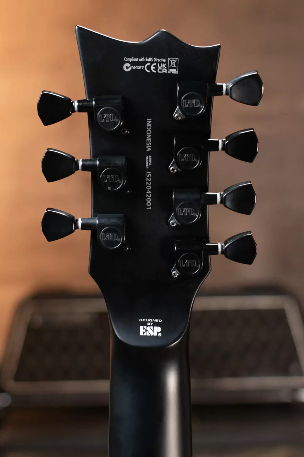ESP LTD EC-257 Electric Guitar, Black Satin