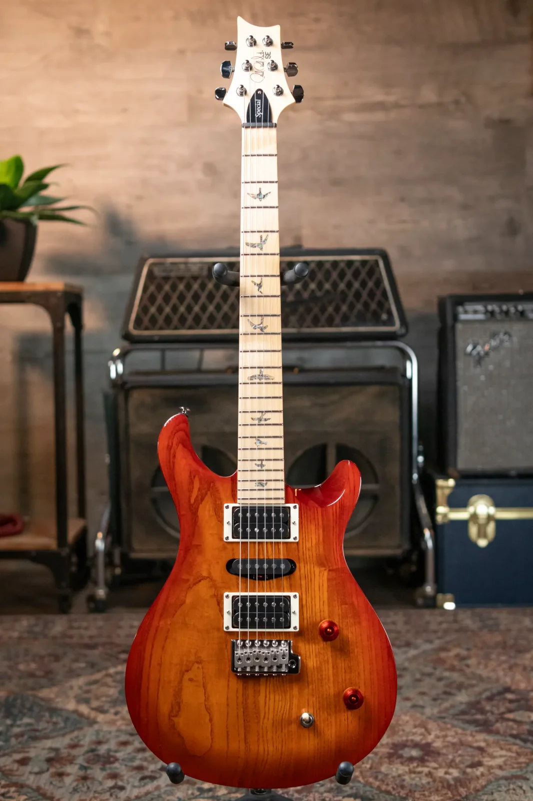 PRS SE Swamp Ash Special 22 - Vintage Sunburst with Gig Bag