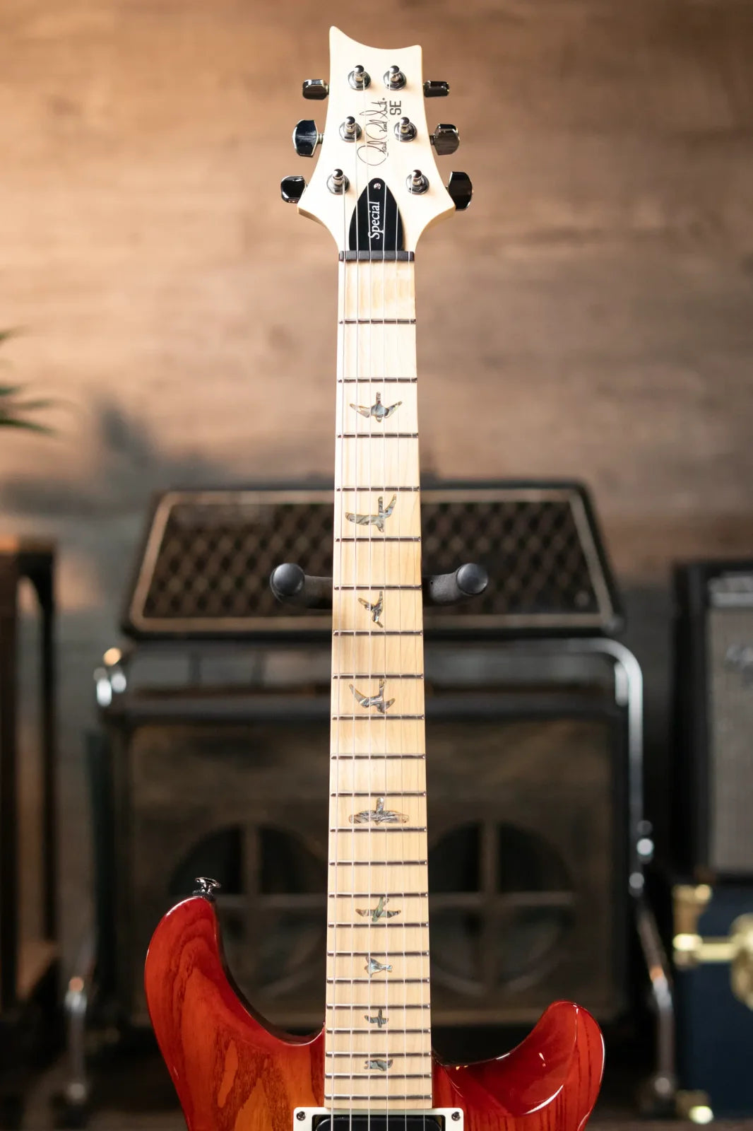 PRS SE Swamp Ash Special 22 - Vintage Sunburst with Gig Bag